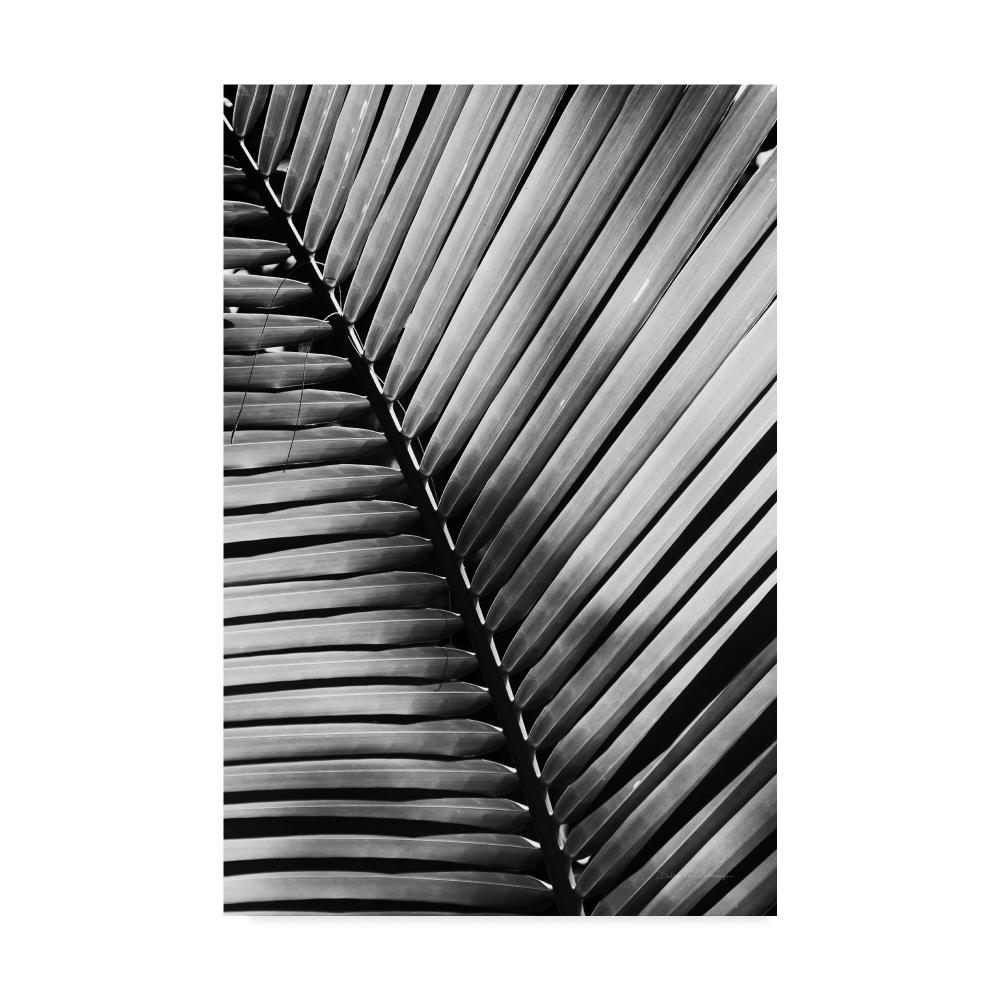 Trademark Fine Art WAP06649-C1624GG Framed 24-in H x 16-in W Abstract Print on Canvas