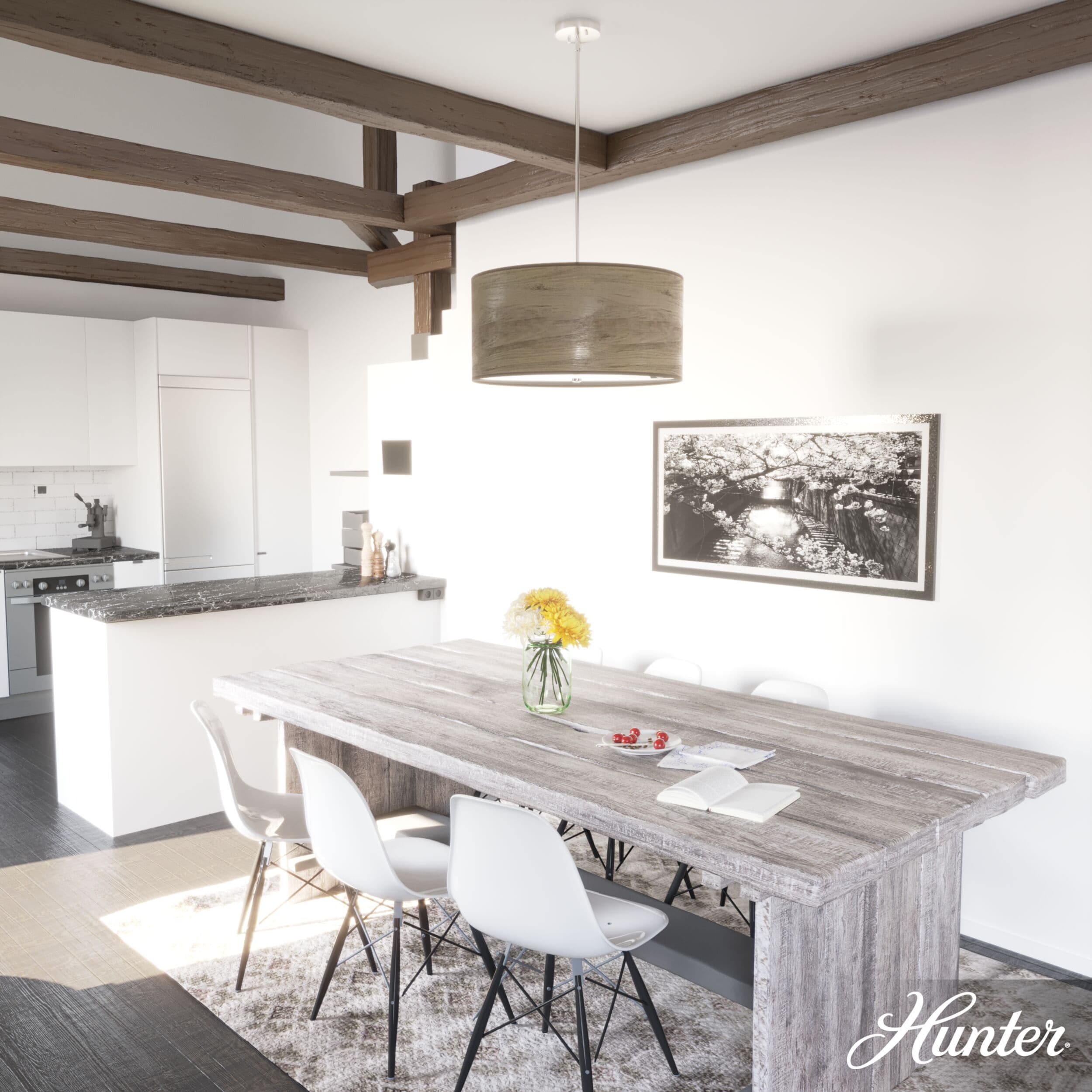 Hunter 19384 Pendant-Lights - View #2