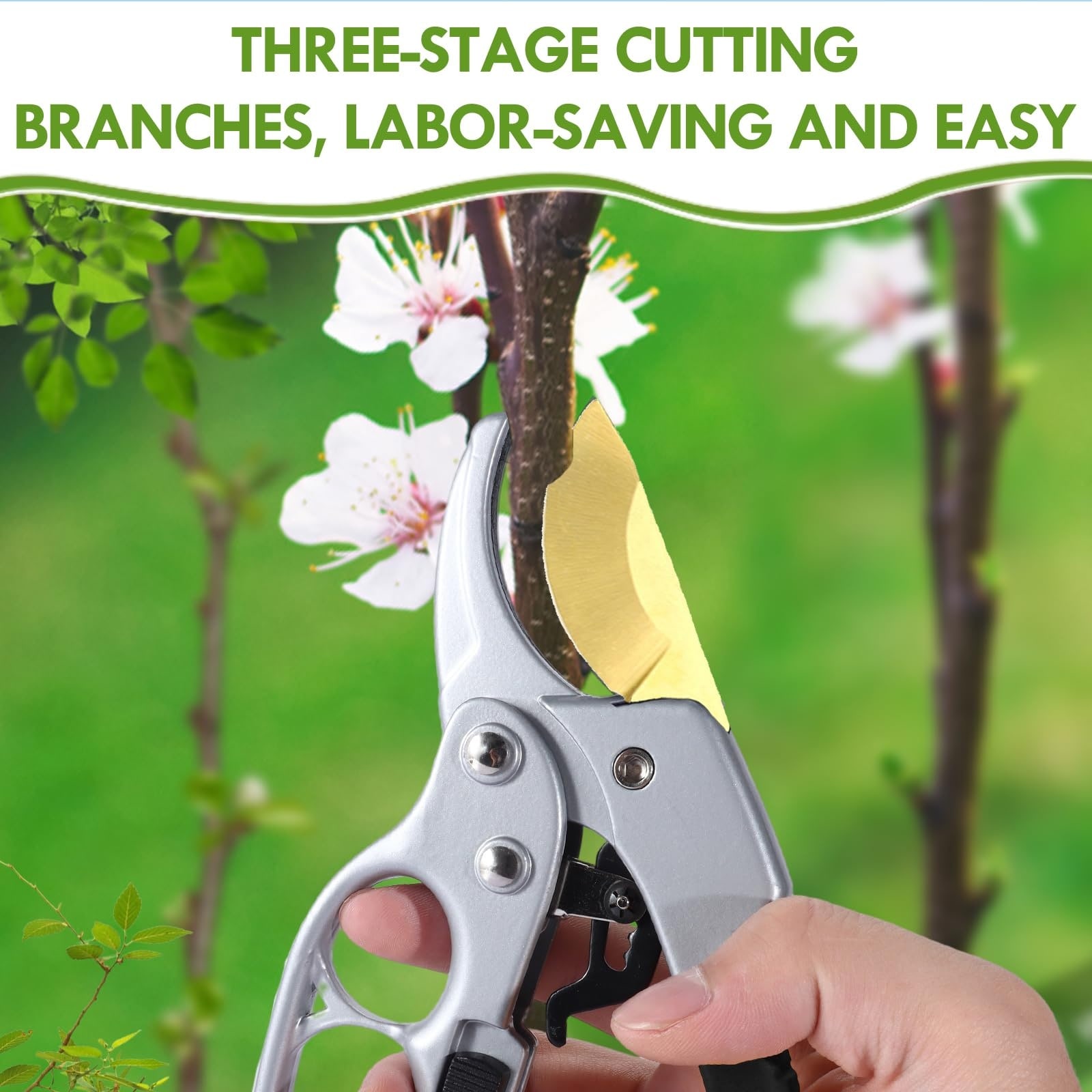 Adrinfly LAD0526D091 scissors - View #5