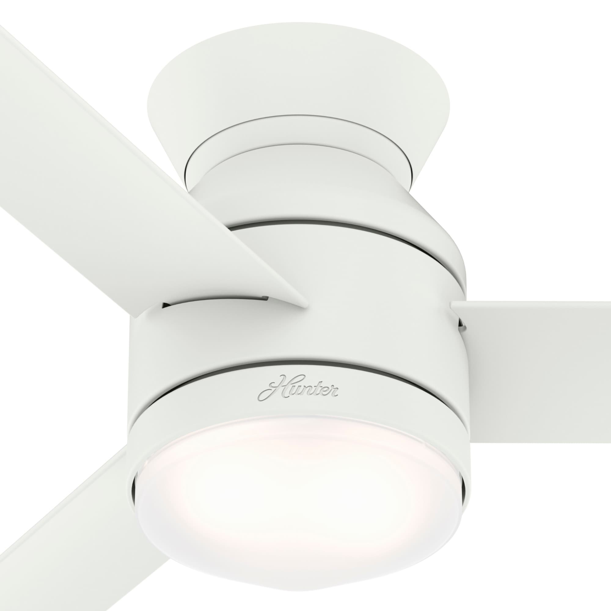 Hunter 50022 Ceiling-Fans - View #15