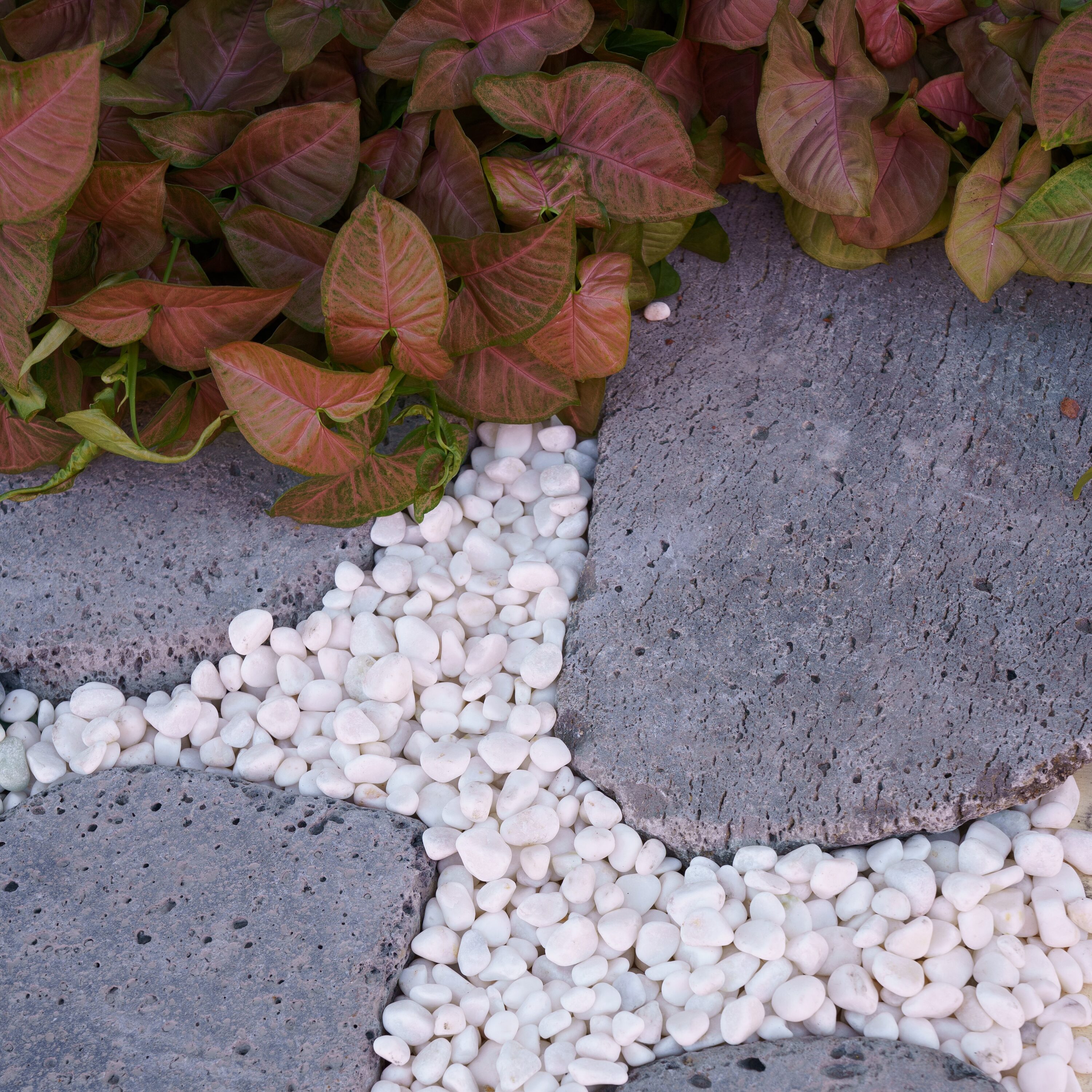 Geobunga 0.45-lb 40-lb White Decorative Rock in the Landscaping Rock  department at