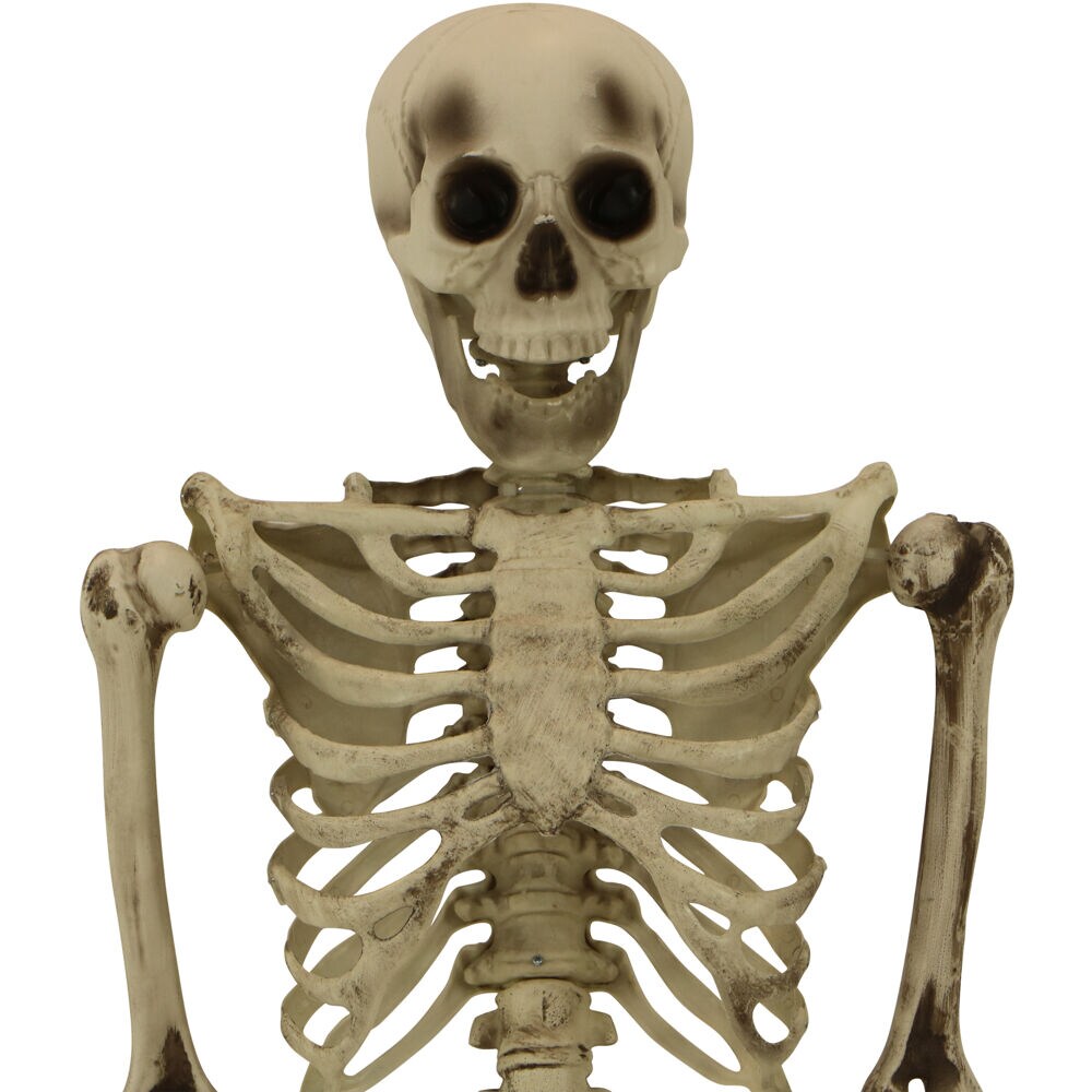 Haunted Hill Farm HHSKEL-8HA Table-Halloween-Decor - View #10