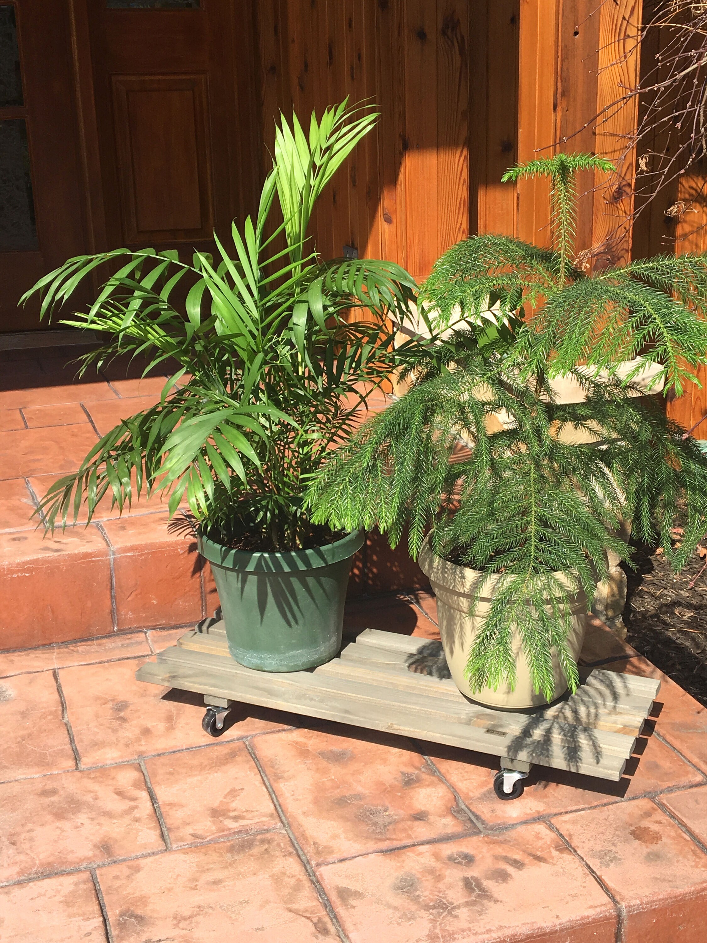  64-0879 Plant-Caddy-Cart - View #7