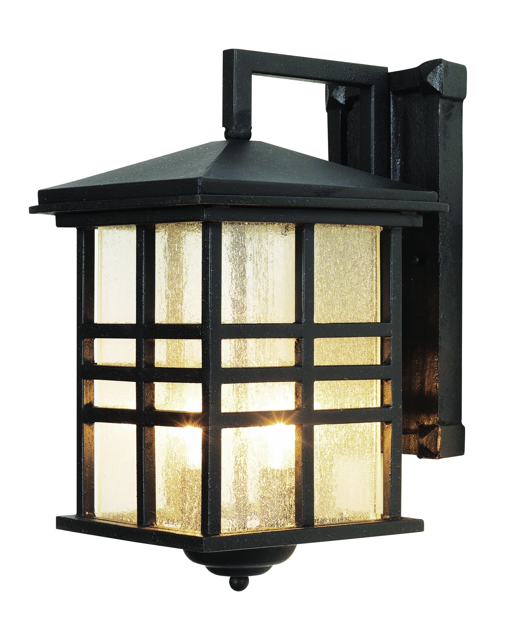 Trans Globe 4636 BK Huntington 2 -Light 13-in H Black Hardwired Outdoor Wall Light