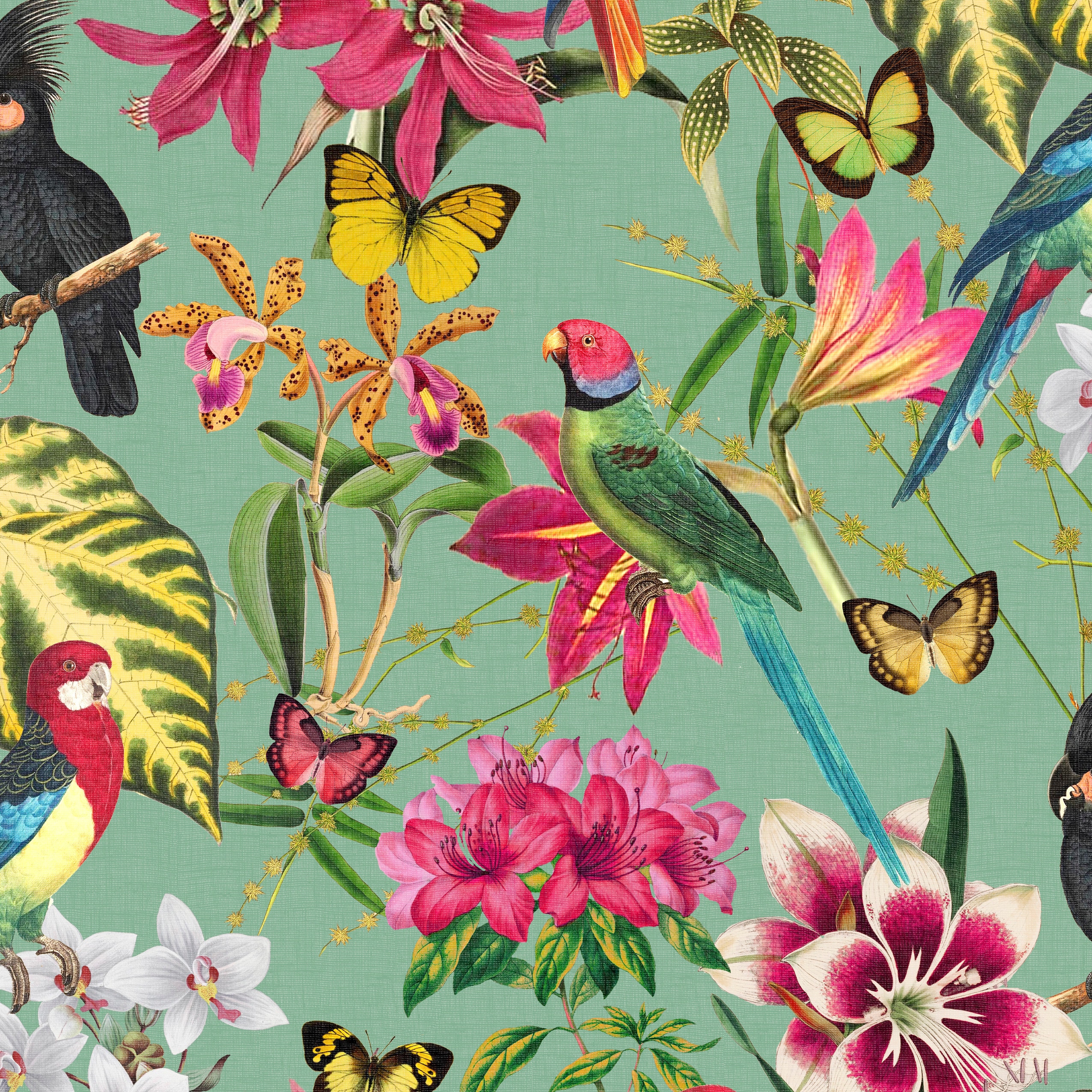 Envy 56-sq ft Green/Multi Non-woven Textured Birds Unpasted Wallpaper