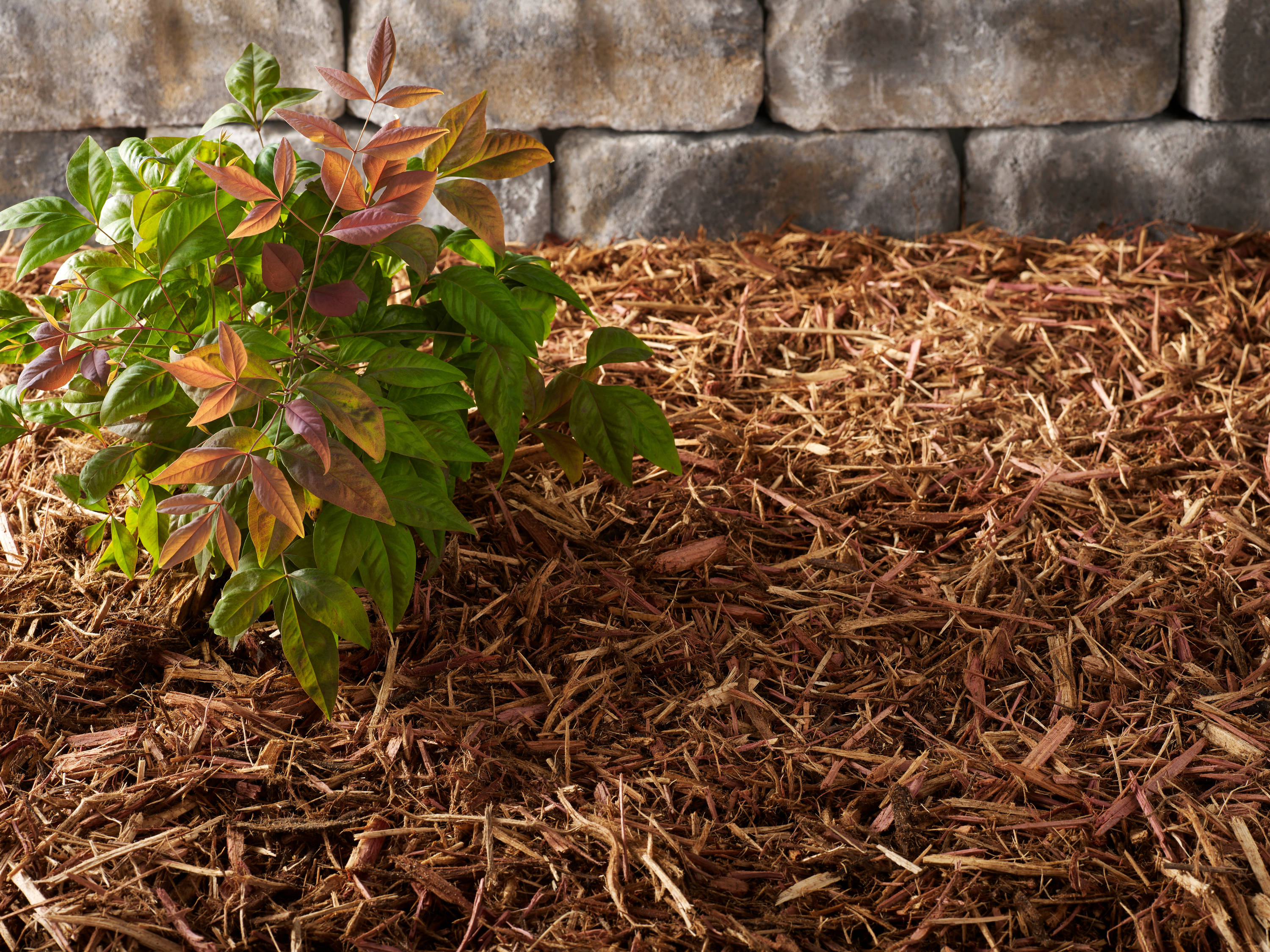  902924 Bagged-Mulch - View #4
