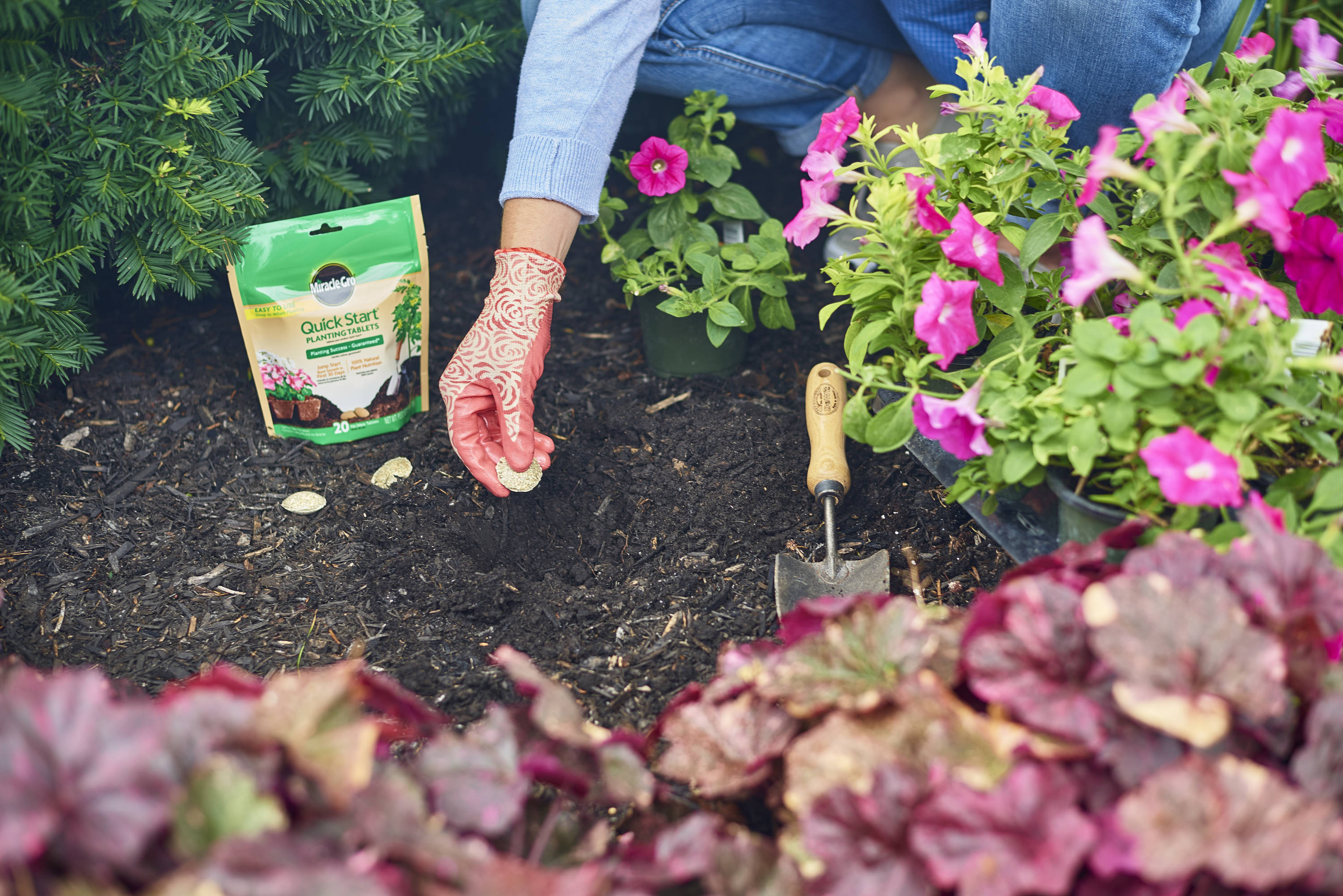 Miracle-Gro 3784103 Plant-Food - View #2