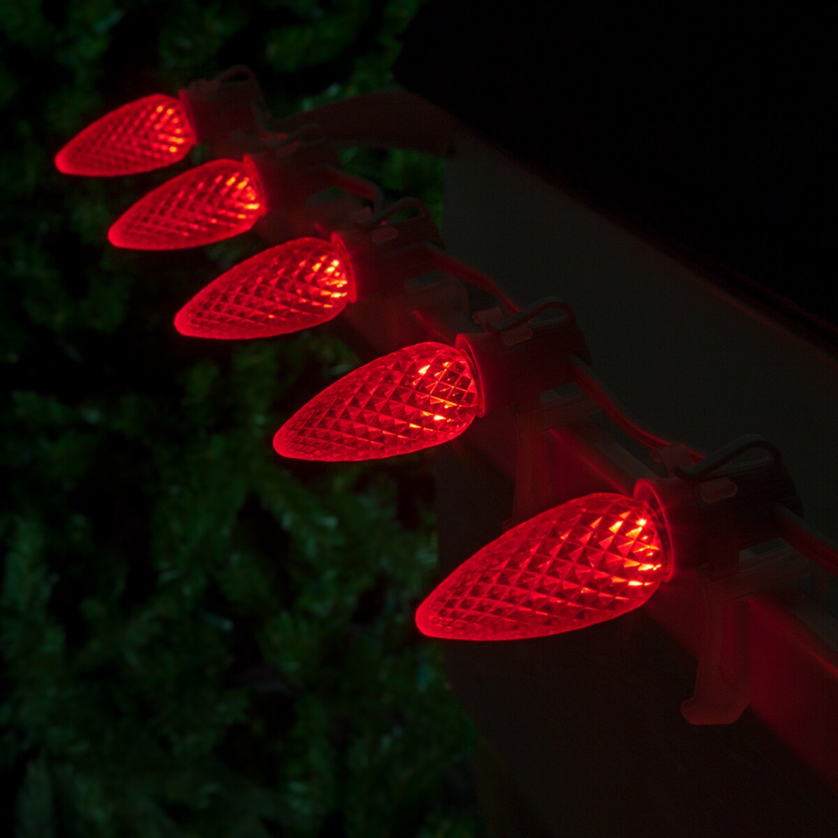 Wintergreen Lighting 72646 String-Light-Bulbs-Fuses - View #4