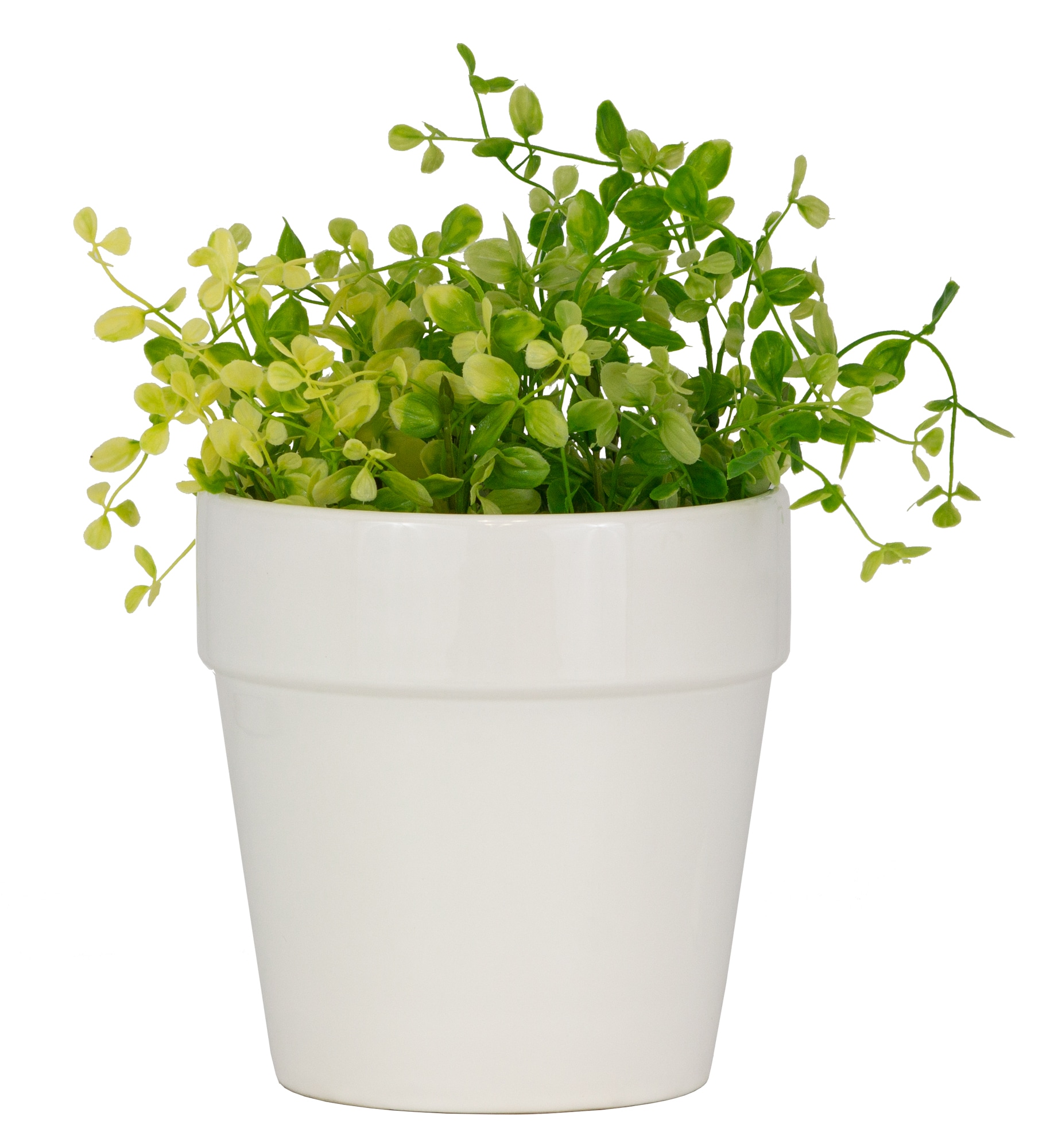allen + roth CR10168-07E Planter-Window-Box - View #4