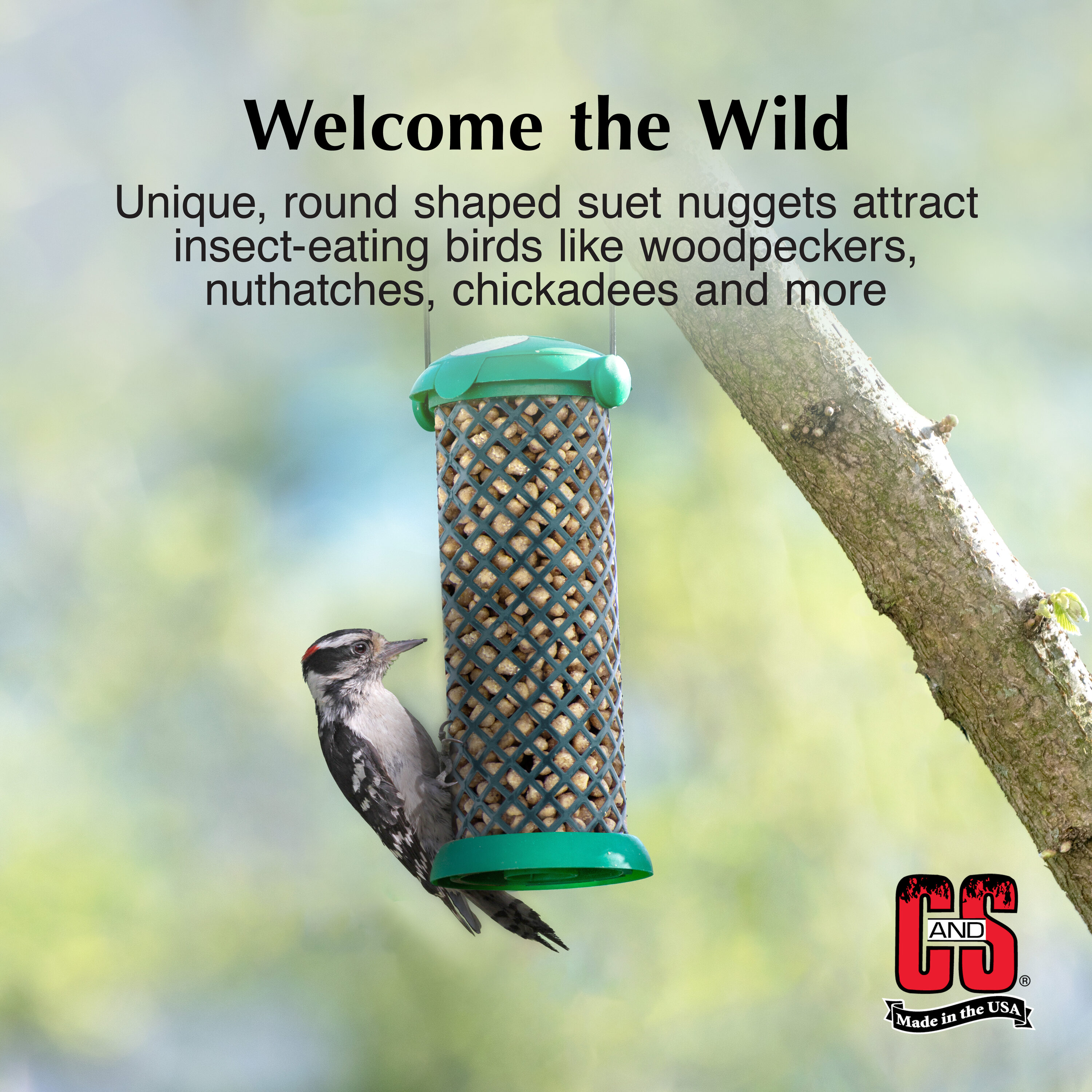 C&S 100214180 Bird-Squirrel-Food - View #3