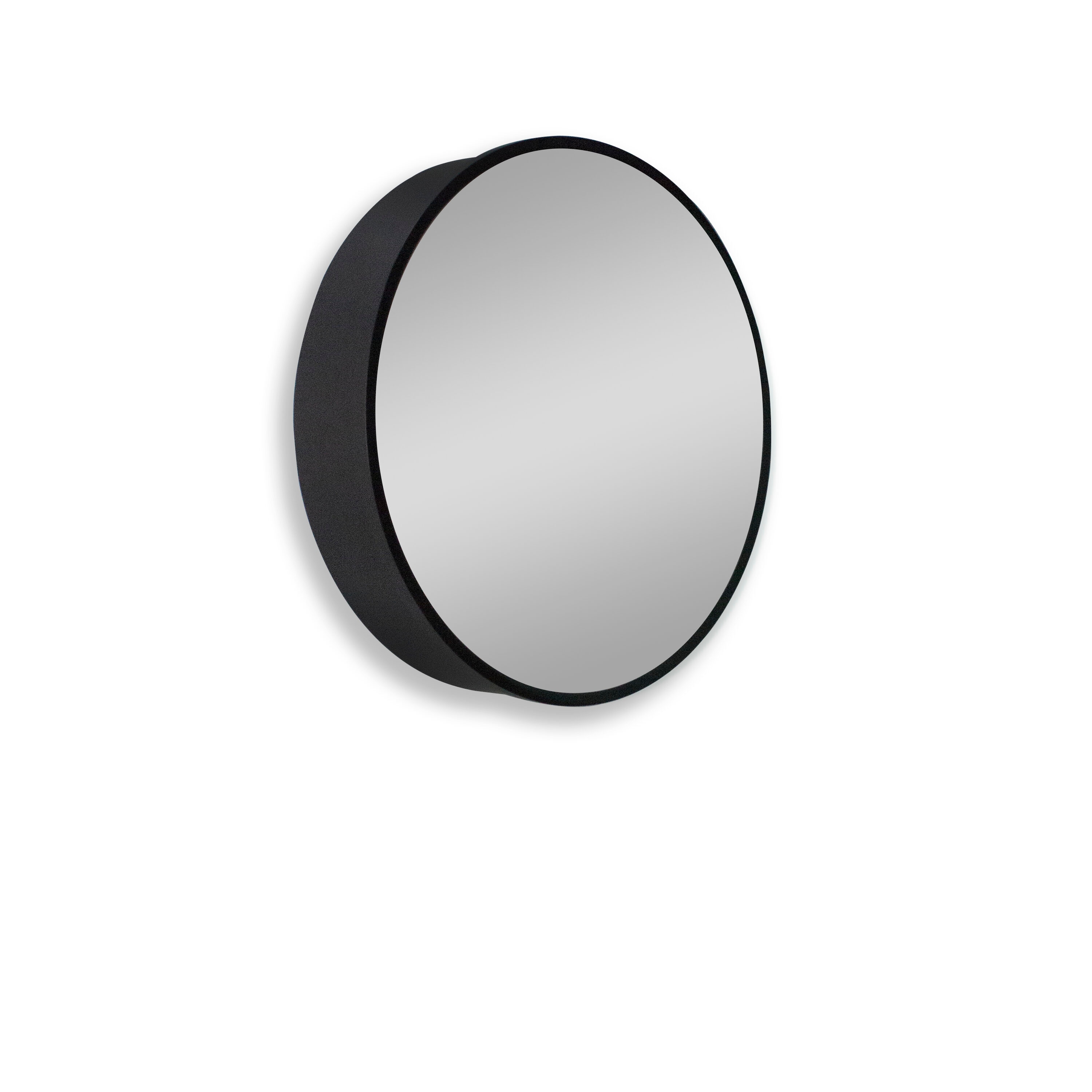 NeuType LS-23120403 24-in W x 24-in H Black Round Medicine Cabinet Mirror