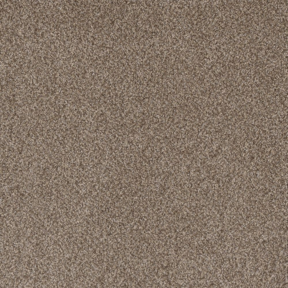 STAINMASTER S9654-111-1200-MO Playa I Isle Brown 54-oz sq yard Solution-dyed polyester Textured Indoor Carpet