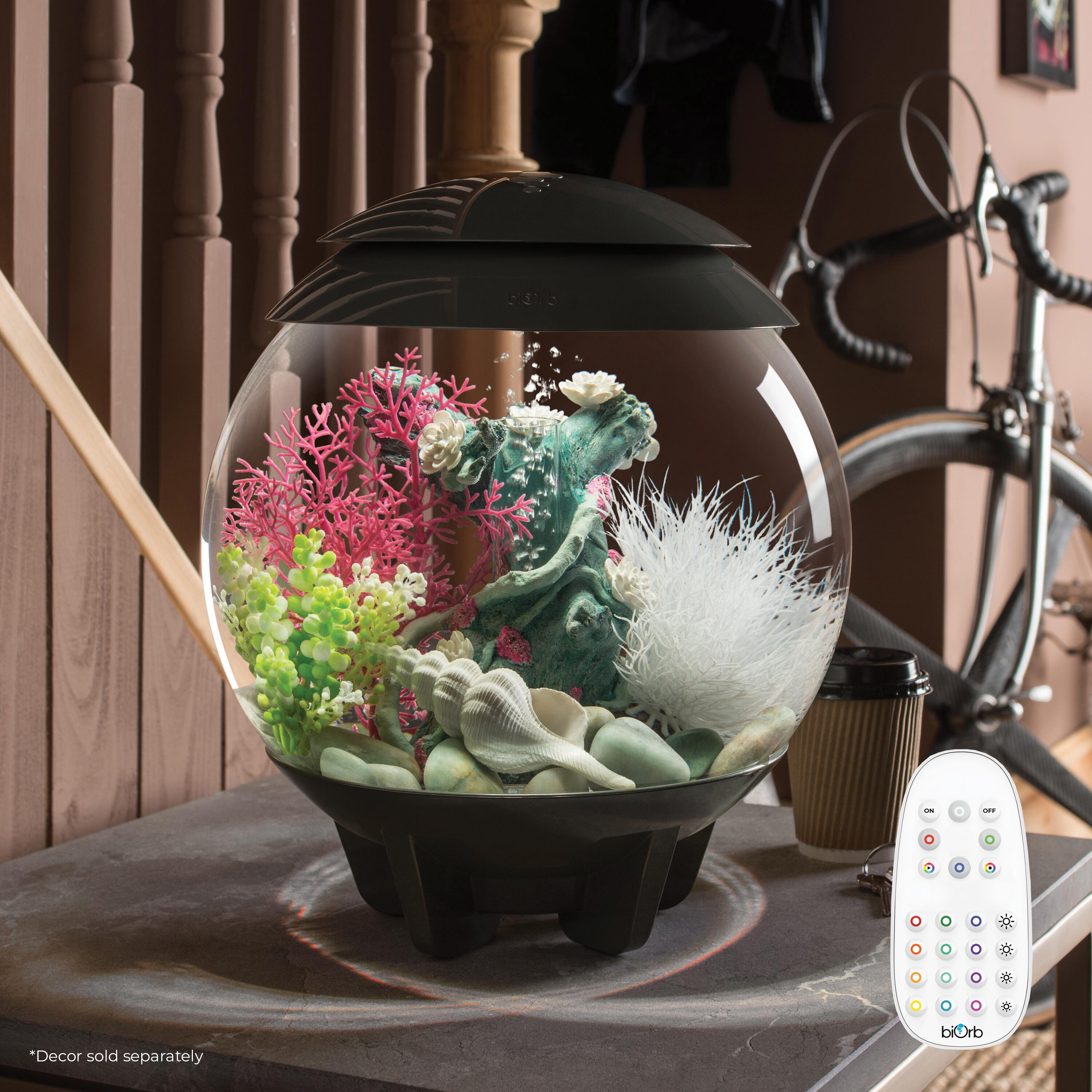 biOrb 72037 Terrariums-Habitats - View #2