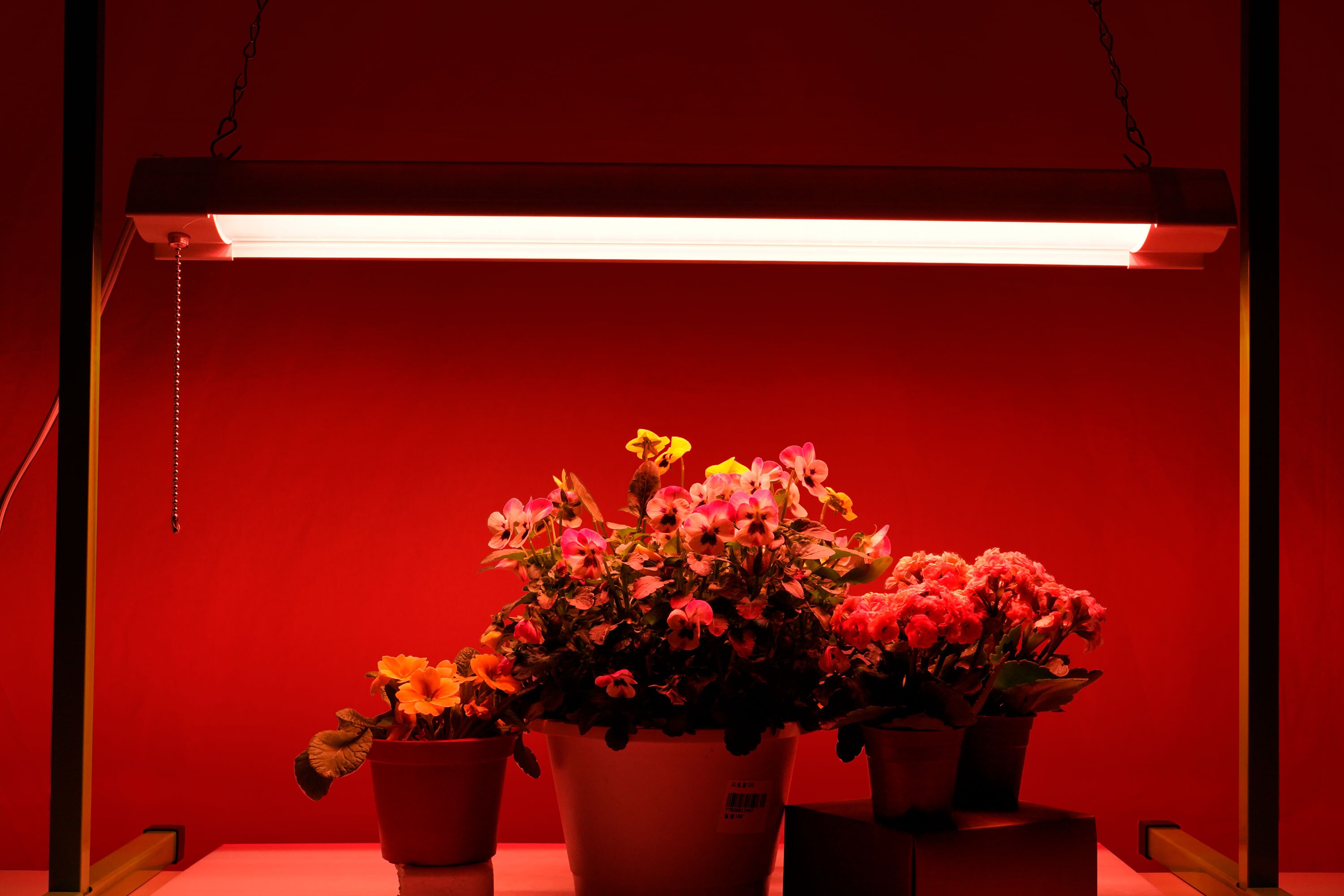 Utilitech Z-DW-B21-GRSPL Grow-Lights - View #8