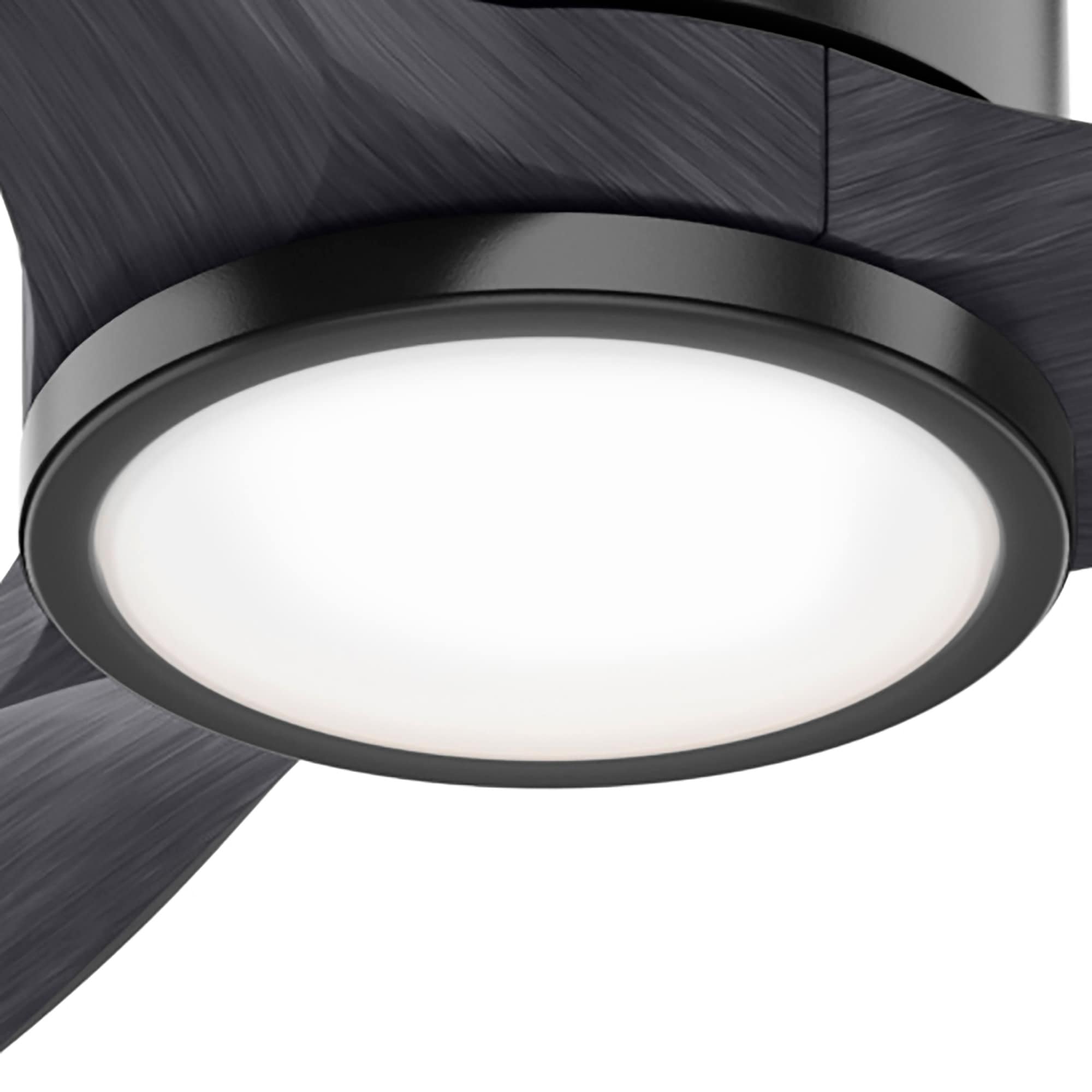 Hunter 50716 Ceiling-Fans - View #14