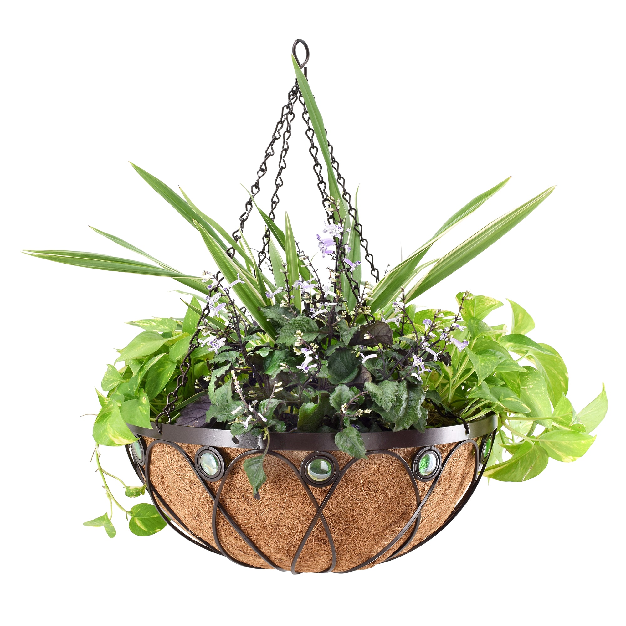 Arcadia Garden Products CB03 Round 20.0-in W x 8-in H x Black Metal Indoor/Outdoor Planter