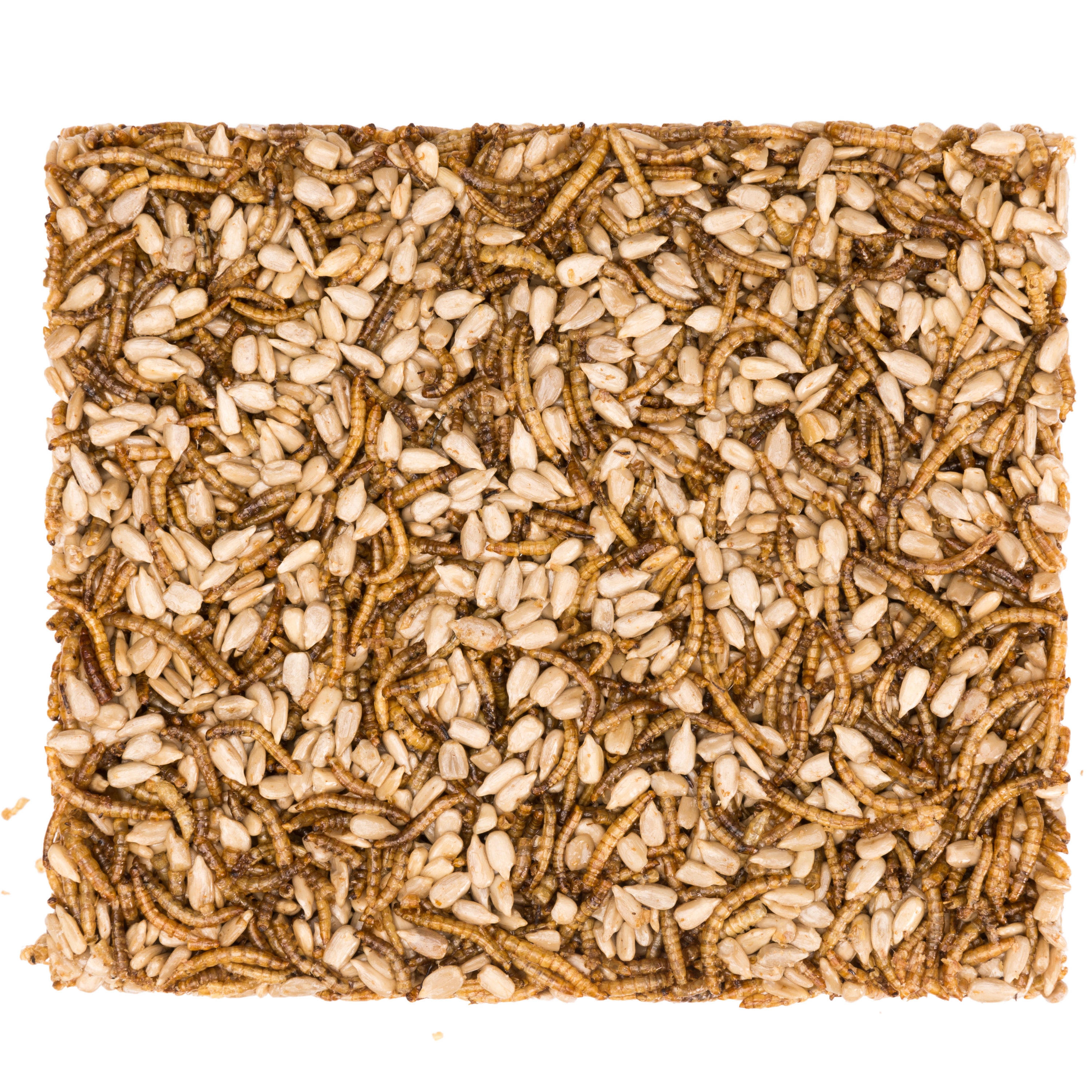 audubon mealworm seed cake