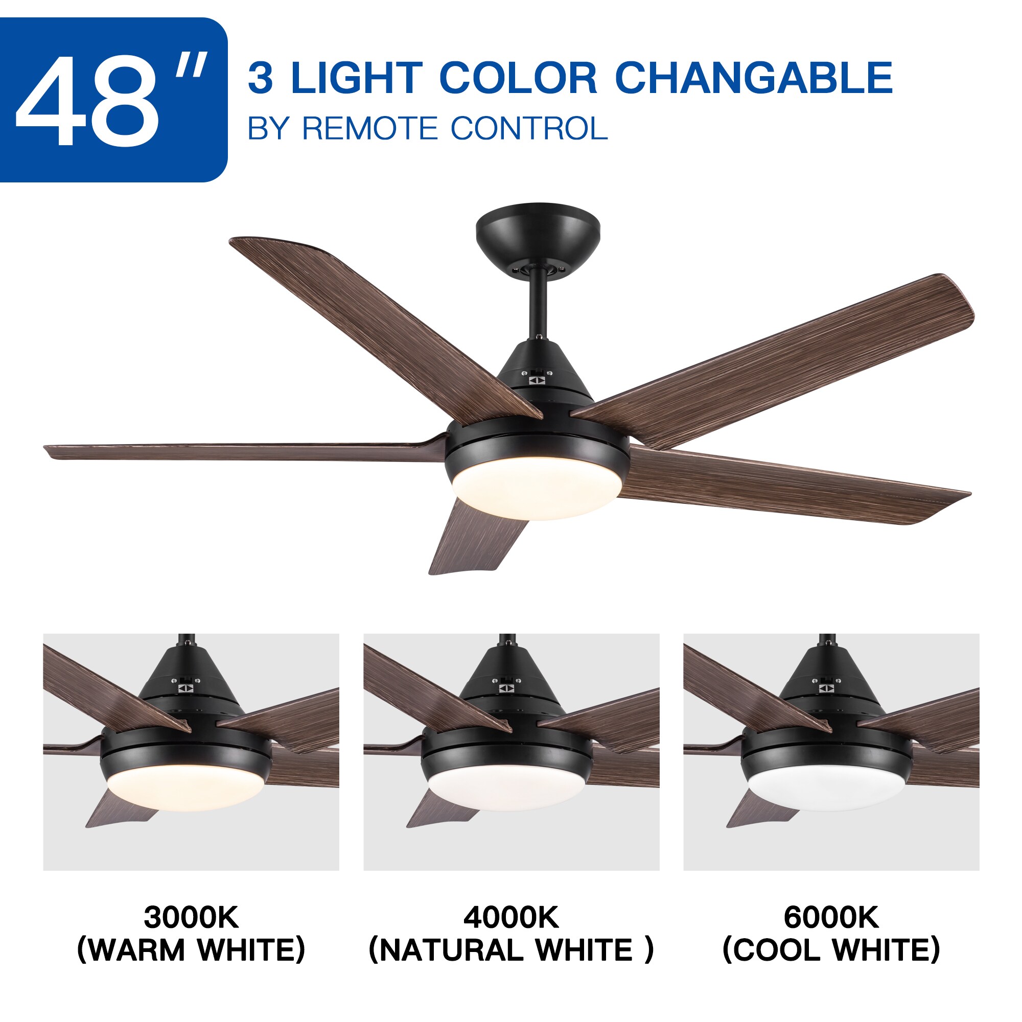 KTMBDW W1367P171191 Ceiling-Fans - View #3
