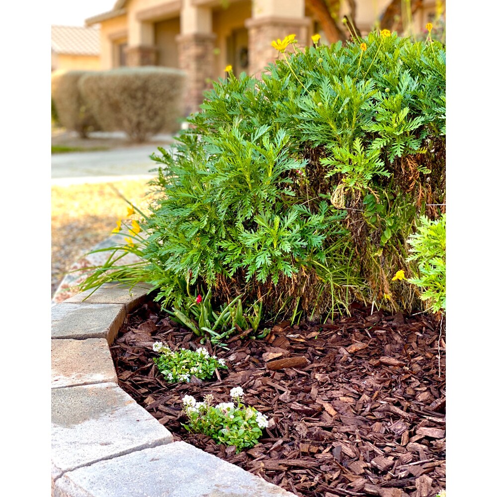  LWBRX02 Bagged-Mulch - View #5