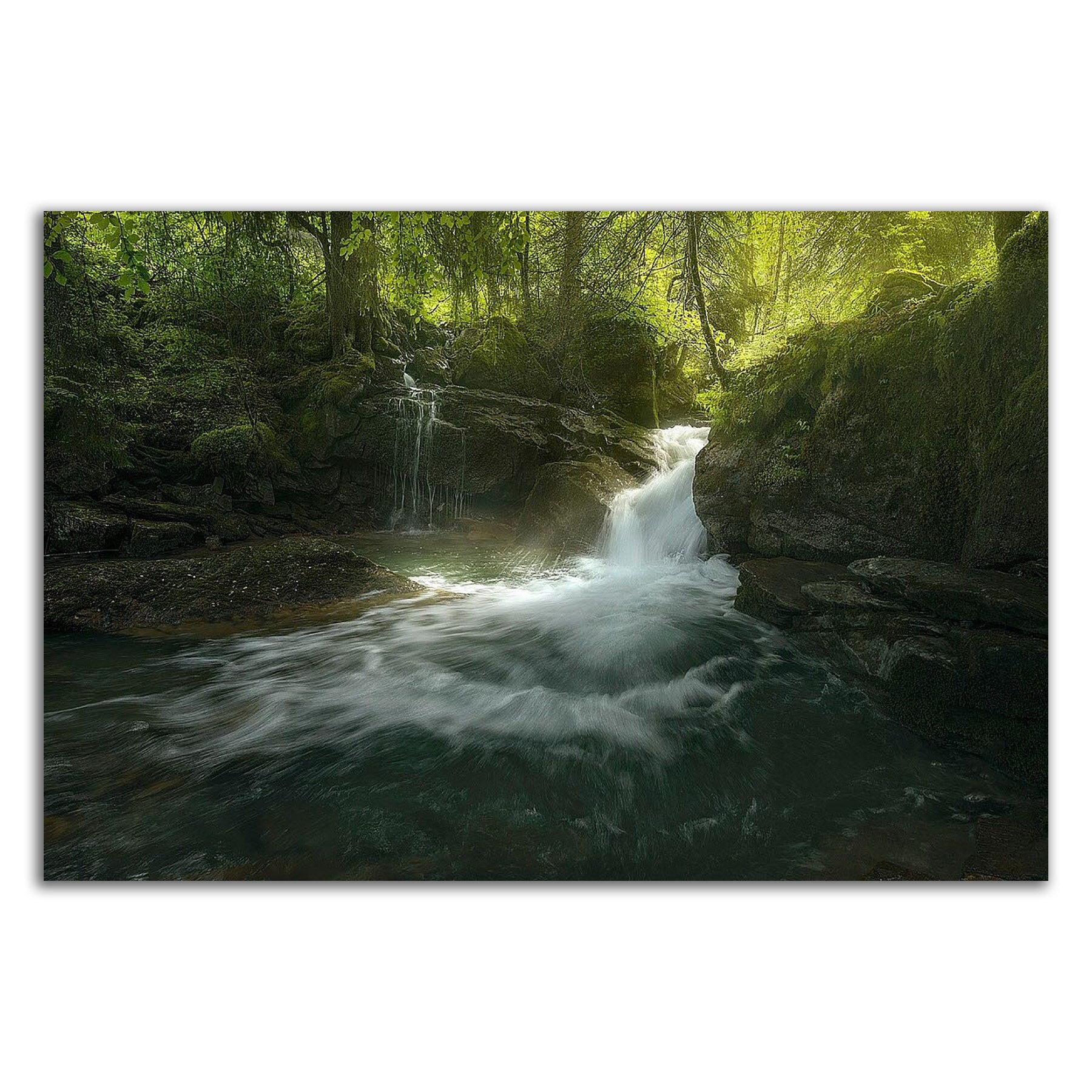 Tangletown Fine Art 24-in H x 36-in W Landscape Print on Canvas at ...