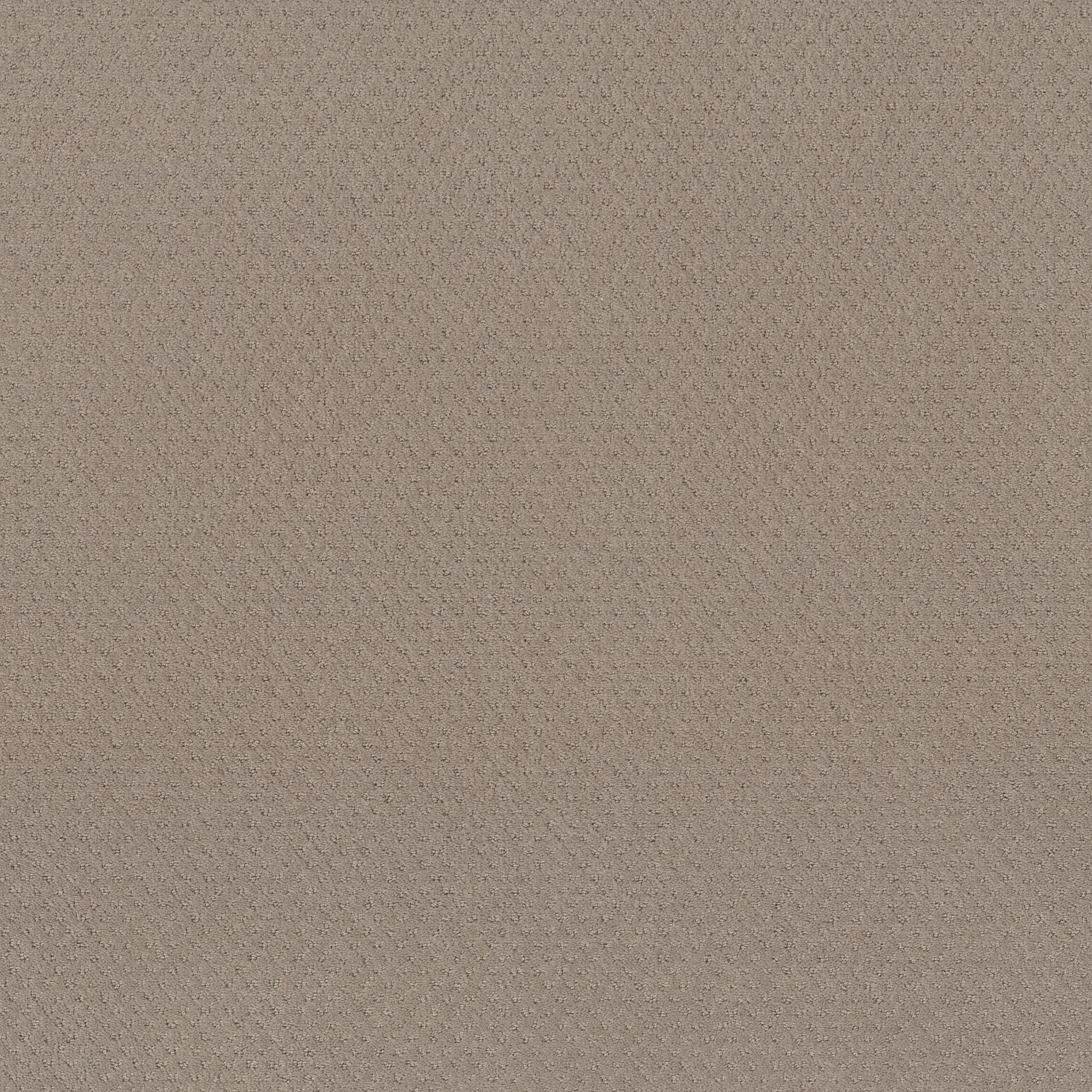 STAINMASTER PetProtect 7L89900752 Pawsitivity Barista Brown 29.2-oz sq yard Nylon Pattern Indoor Carpet