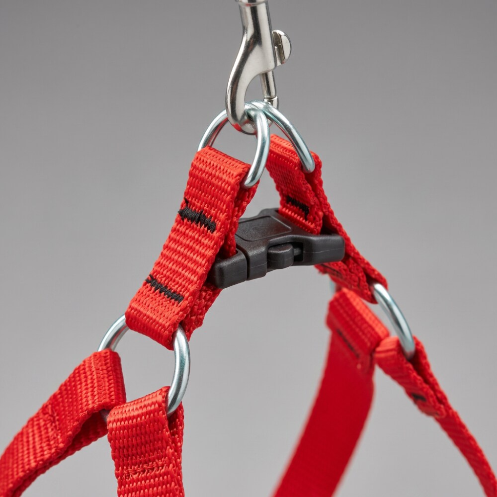 LupinePet 22595 Dog-Collars-Harnesses - View #2