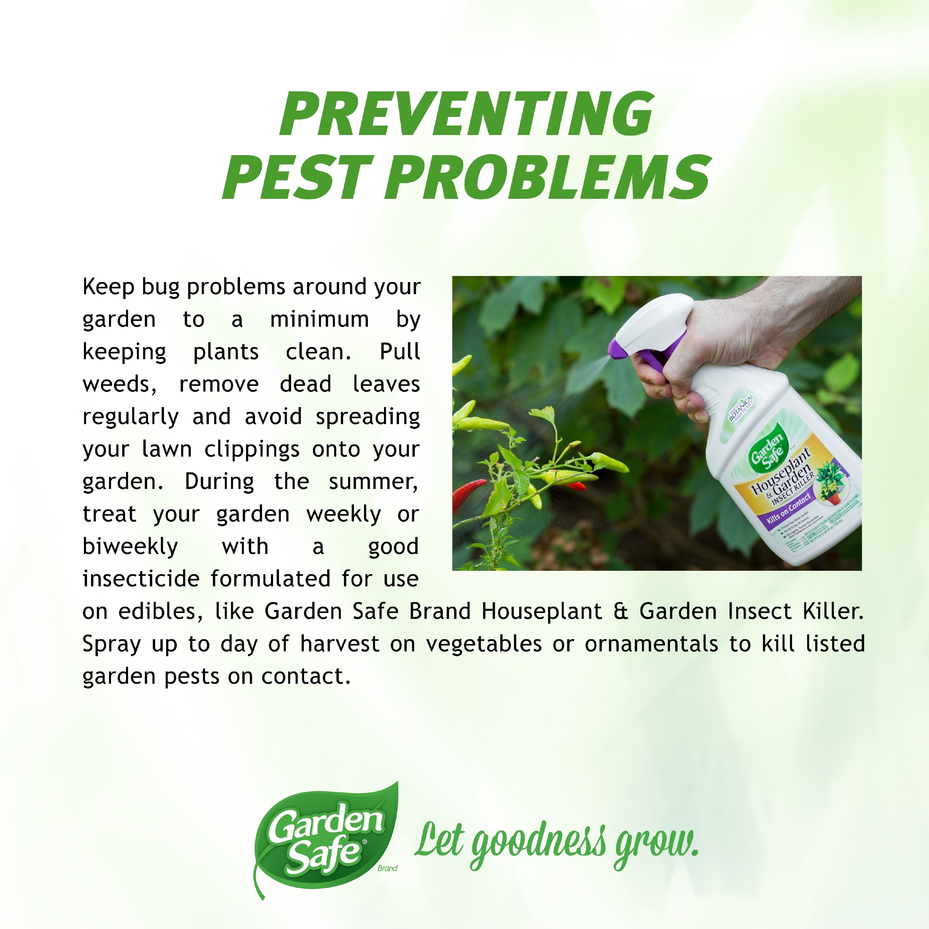 Garden Safe Insecticidal  Soap Insect Killer - 24 fl oz bottle