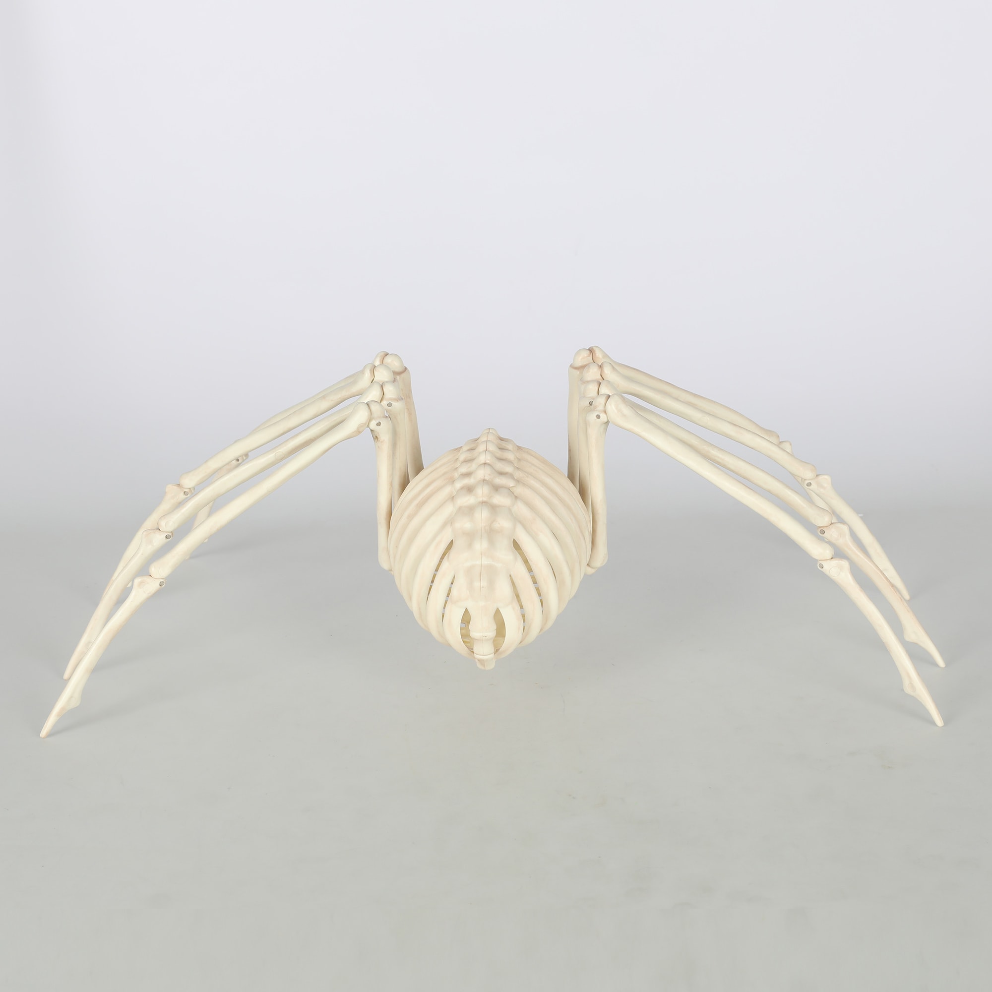 Haunted Living W81228 Table-Halloween-Decor - View #3