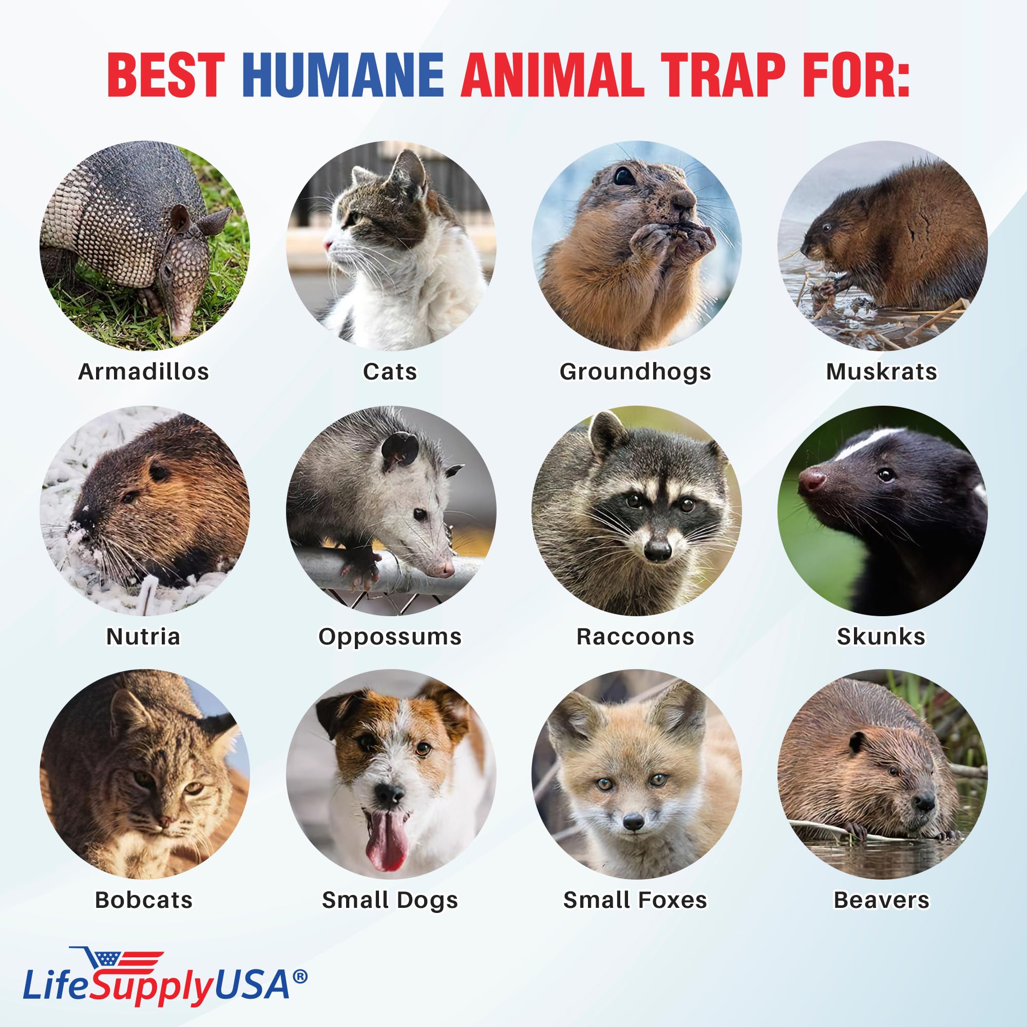 LifeSupplyUSA ER631-HD Animal-Rodent-Control - View #7