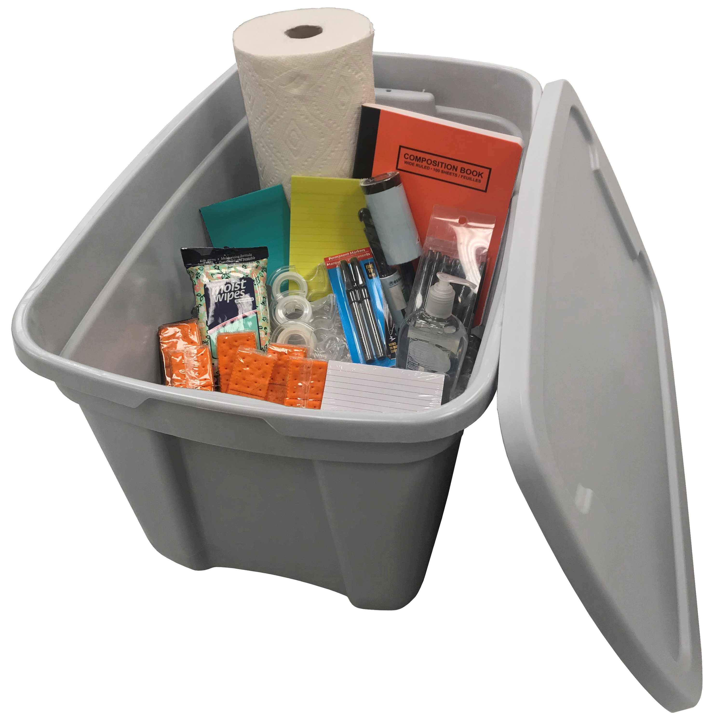 Project Source Large 30-Gallons (120-Quart) Gray Heavy Duty Tote with  Standard Snap Lid