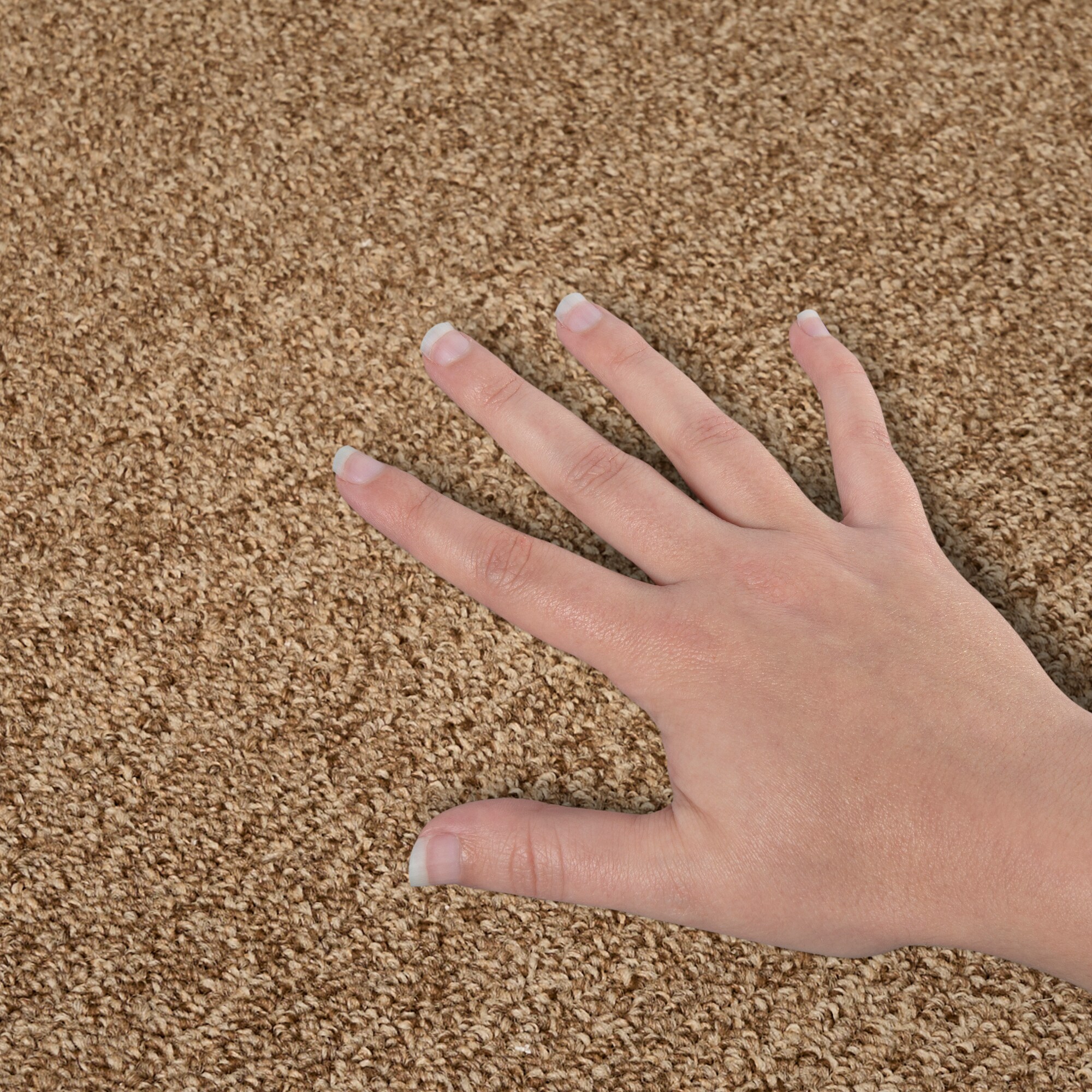  LC77-12-L004 Carpet-Panel - View #4