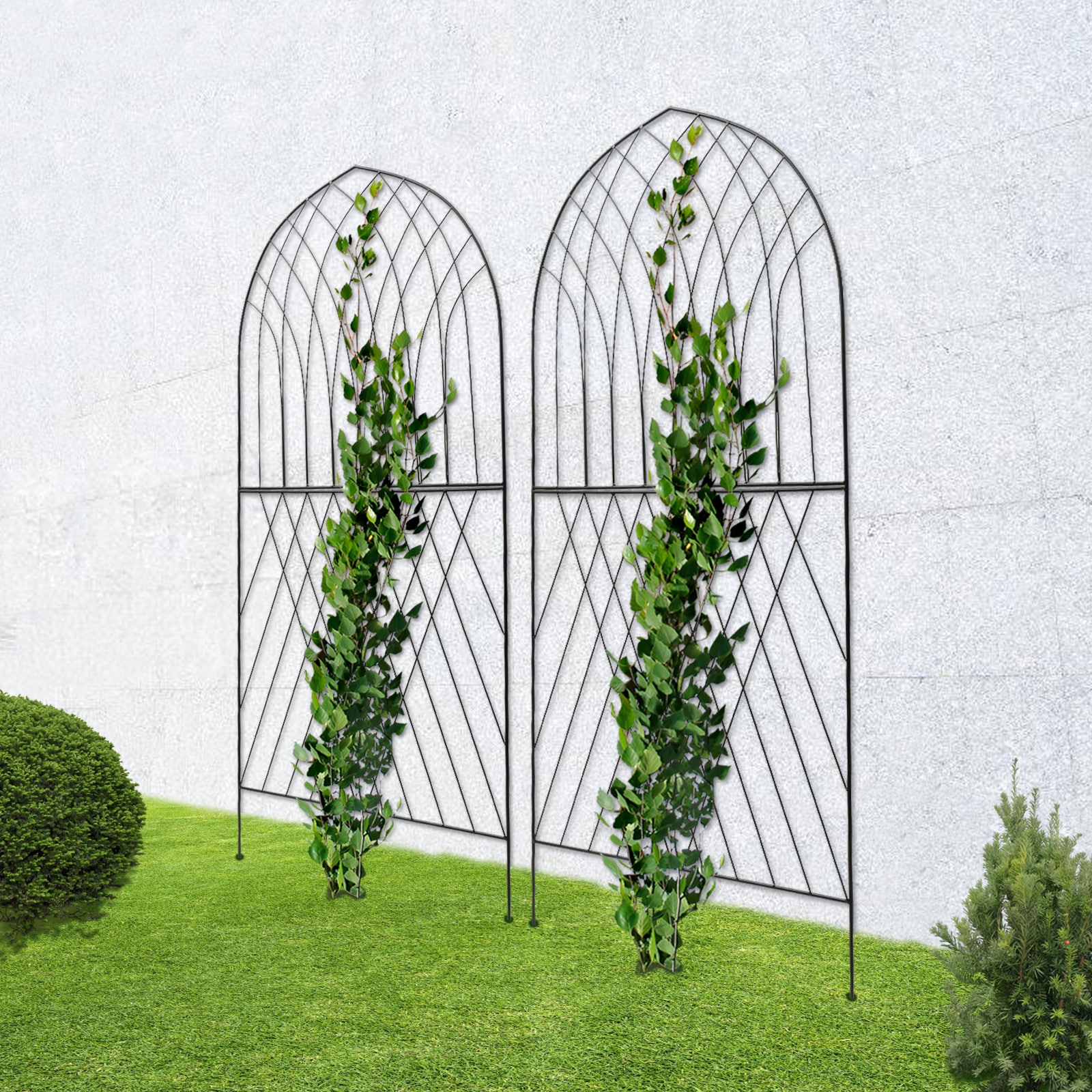 CNCEST 31-in W x 75-in H 2 Pcs Black Steel Tube Arched Rose Steel Fence ...