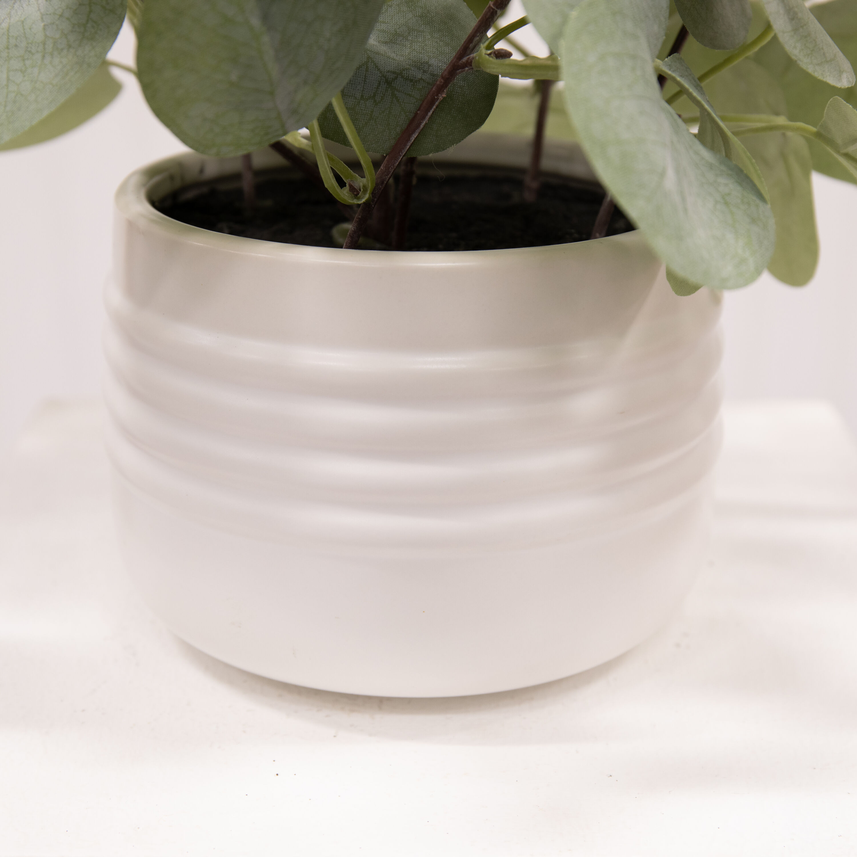 allen + roth P1000-LW Artificial-Plants-Trees - View #3