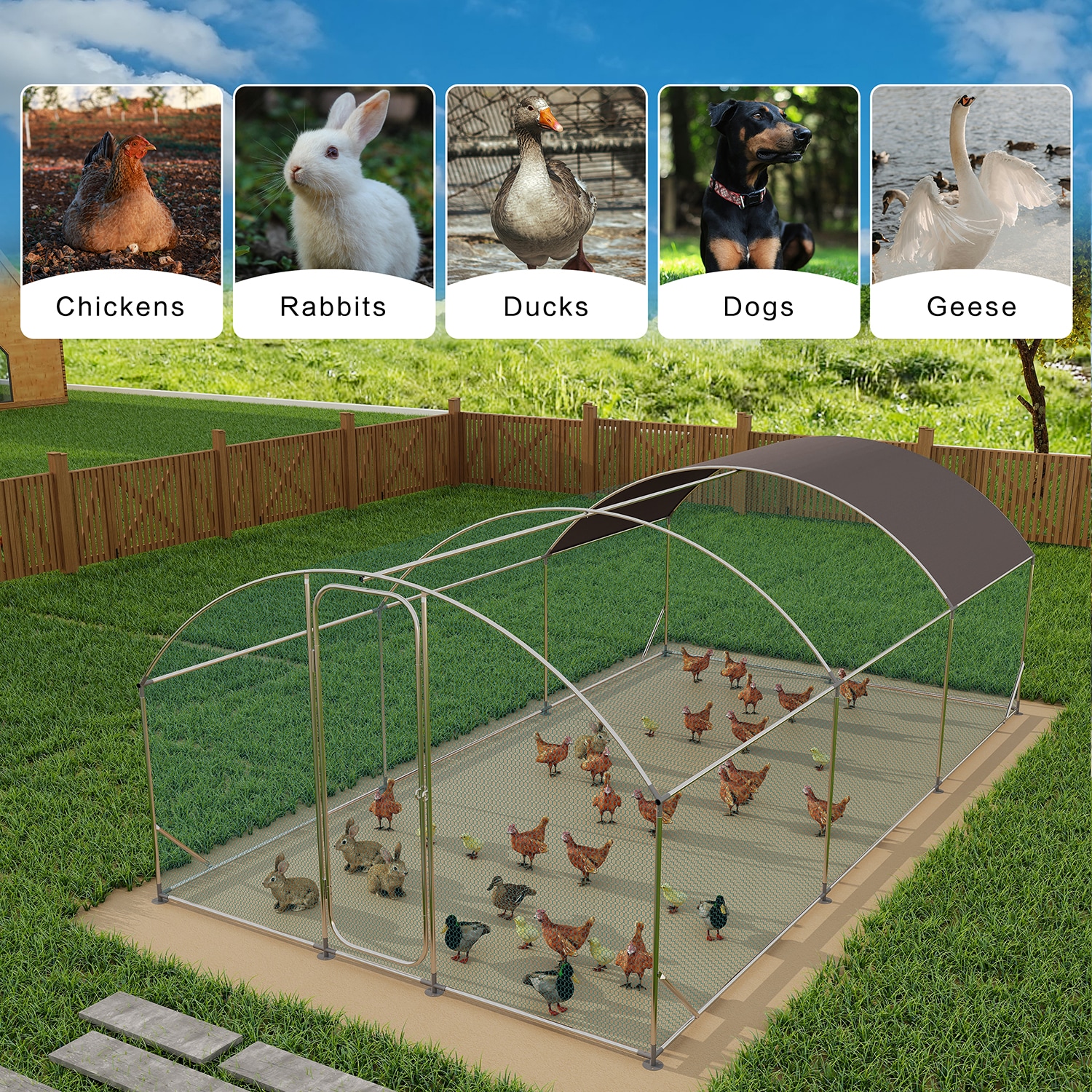 Mondawe MD-CH00022 Chicken-Coops-Rabbit-Hutches - View #3