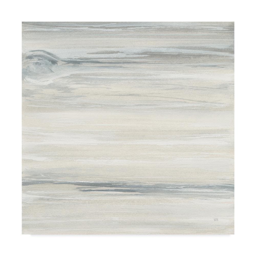 Trademark Fine Art WAP05893-C2424GG Framed 24-in H x 24-in W Abstract Print on Canvas