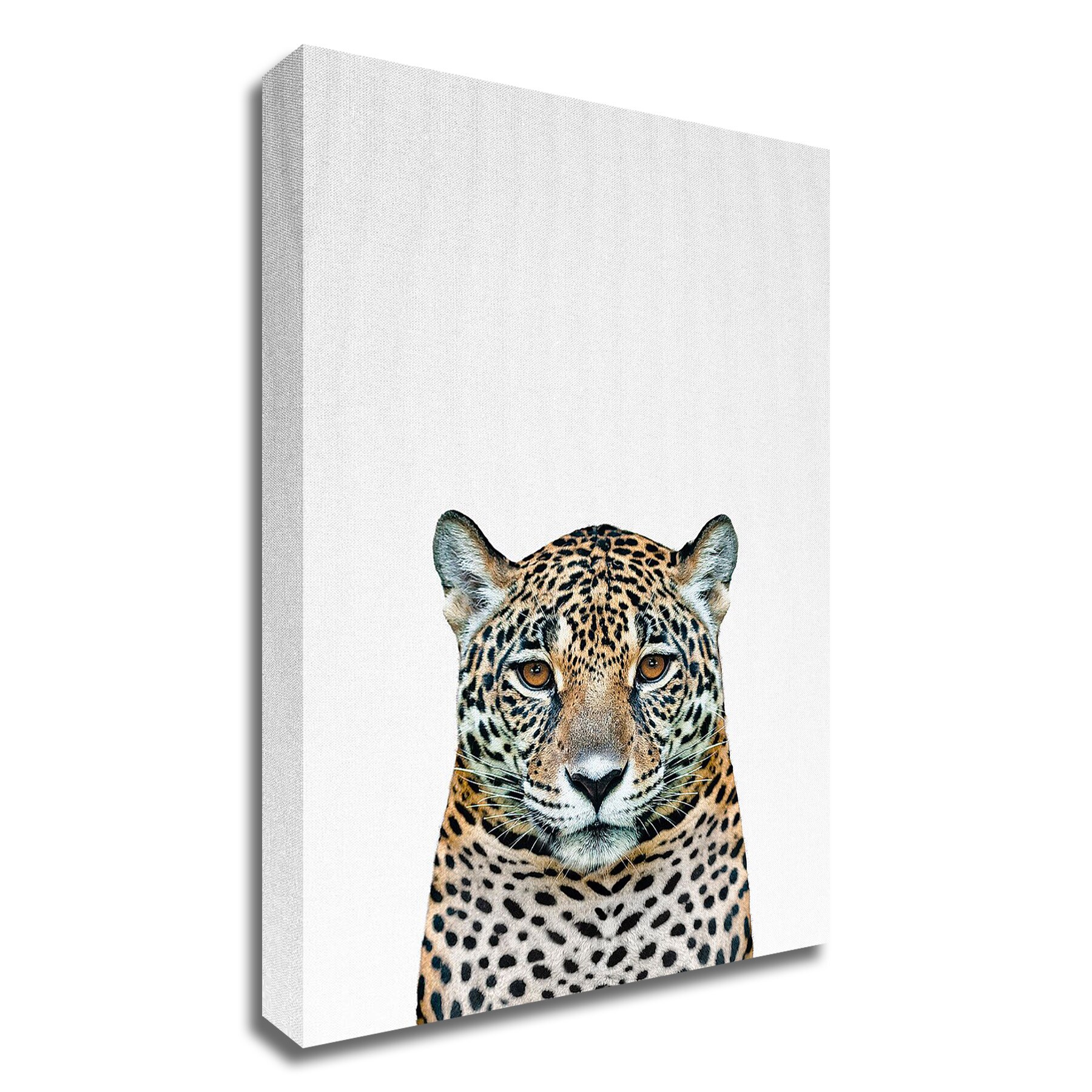 Tangletown Fine Art 8T569DC-2436 Leopard Ii Tai Prints 36-in H x 24-in W Animals Print on Canvas