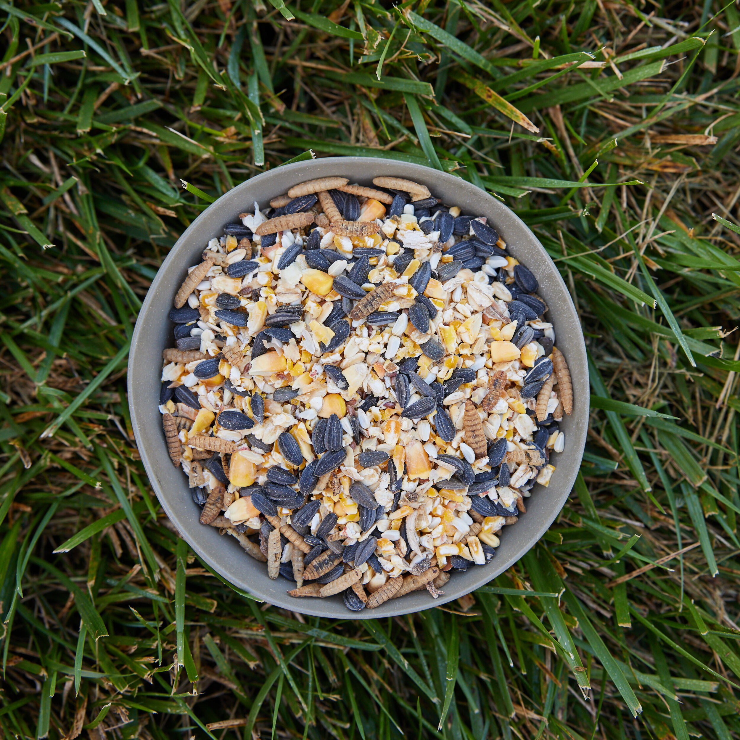 Pecking Order 009353 Poultry-Feed - View #2