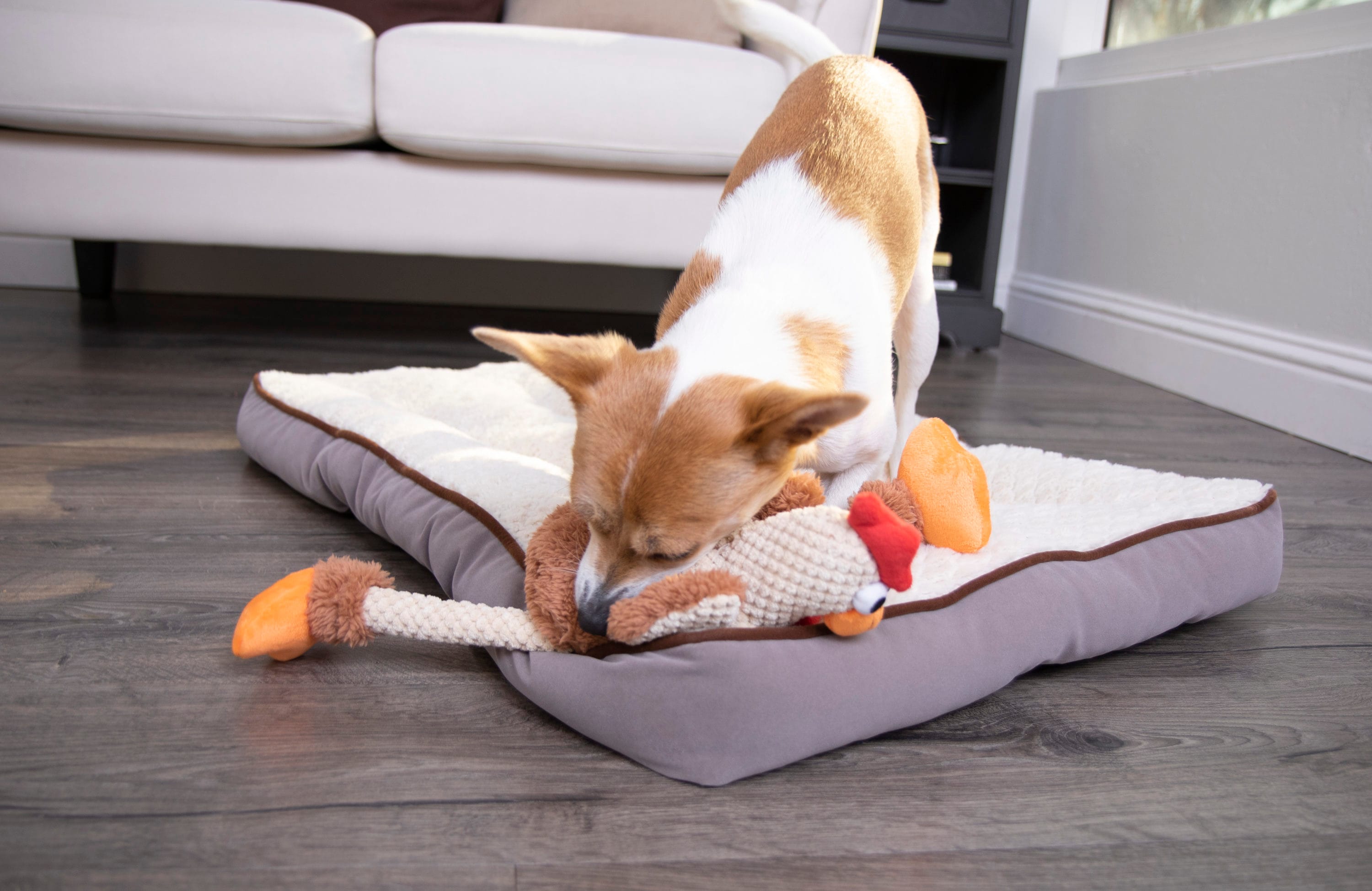 goDog 70881-48987-024 Dog-Toys - View #2