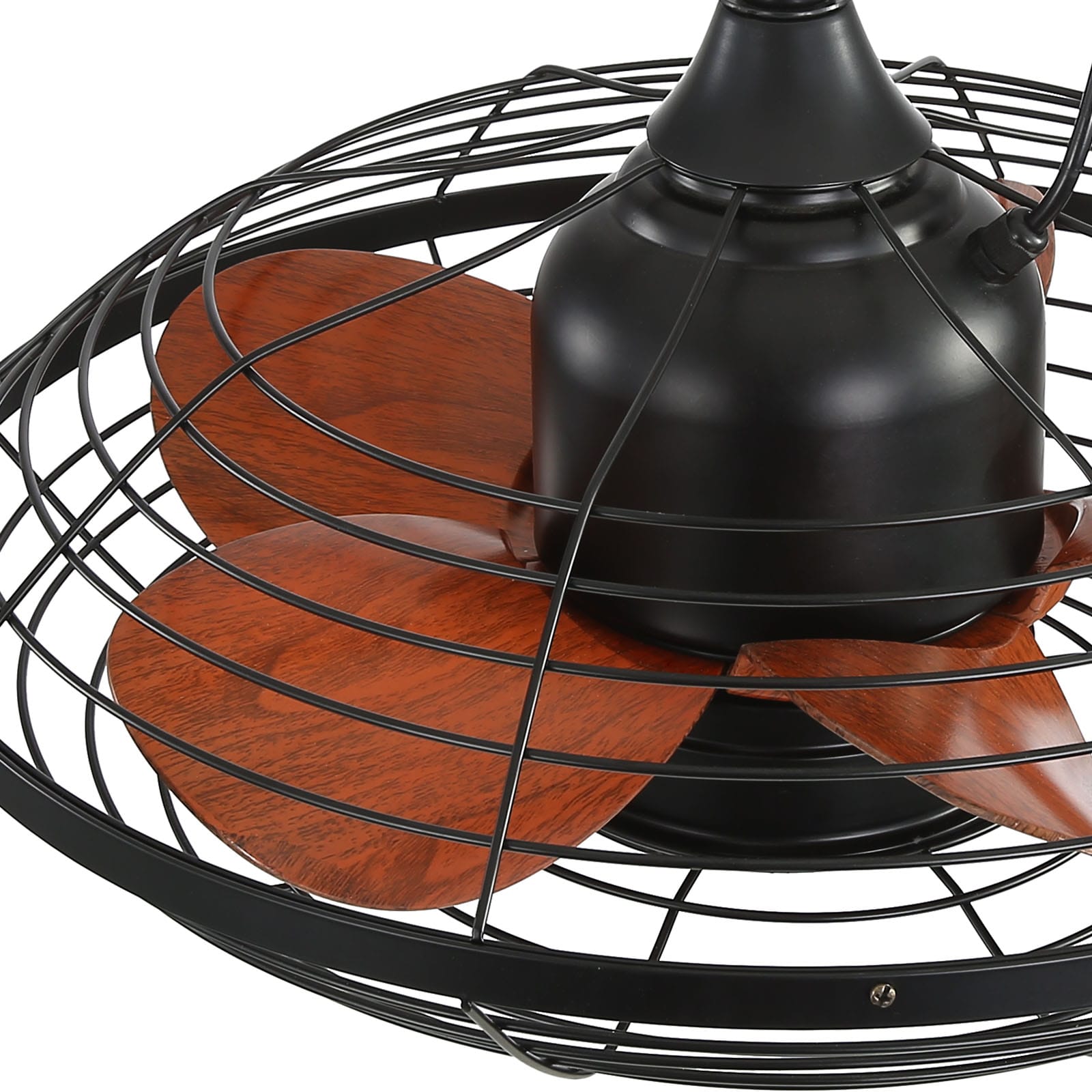Sofucor 20K042 20in Black with Brown Blades Colorchanging Indoor