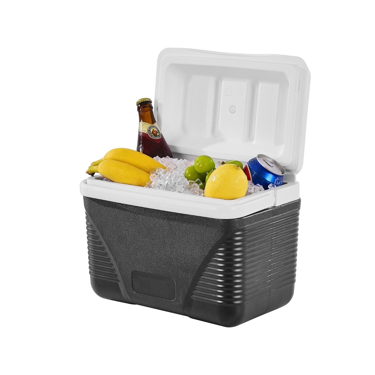 Loheer - 8.5-Qt Portable Hard Cooler with Heavy-Duty Handle for Camping and Picnics