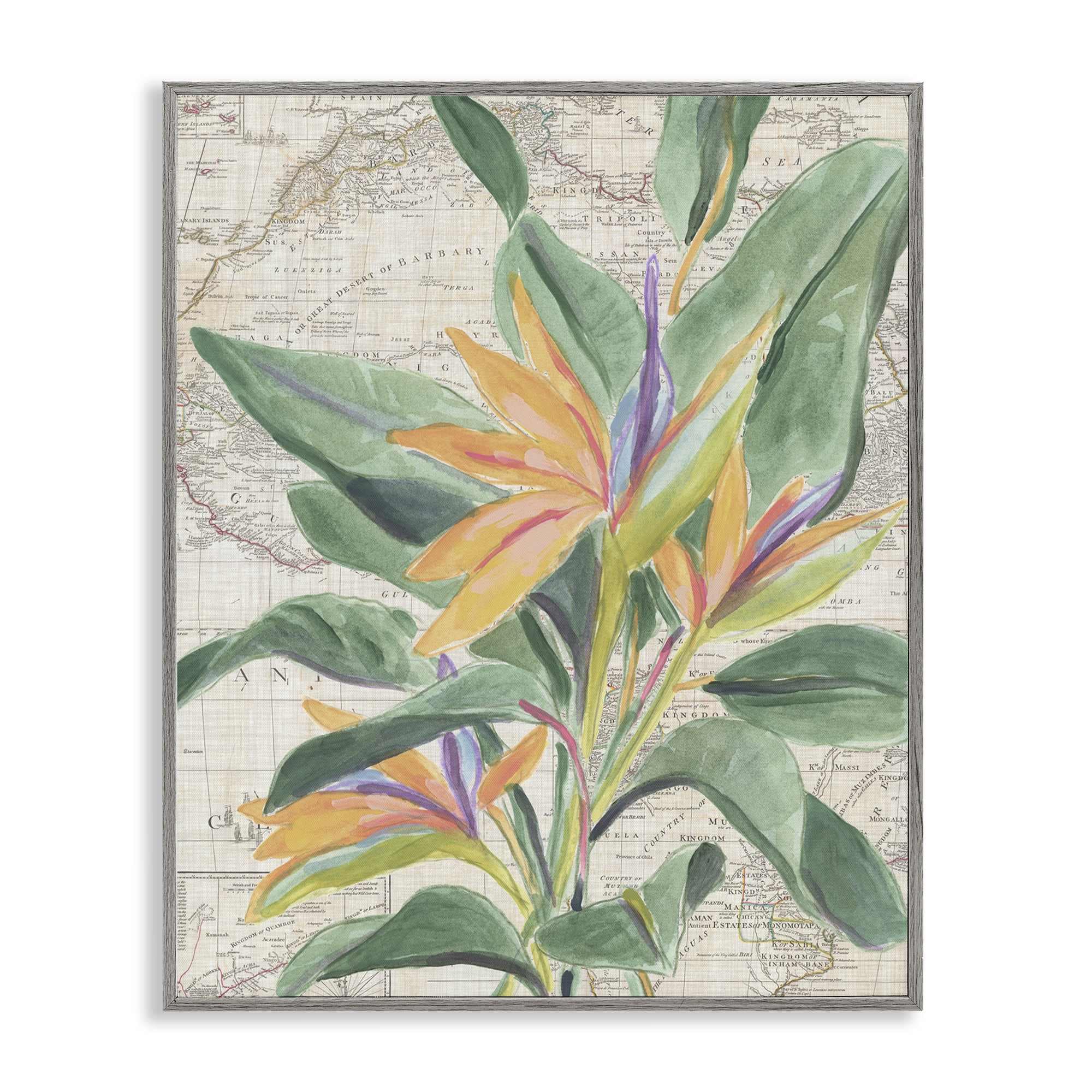 Stupell Industries BS-388-GFF-24X30 Tropical Flower over Map Framed Giclee design by June Erica Vess