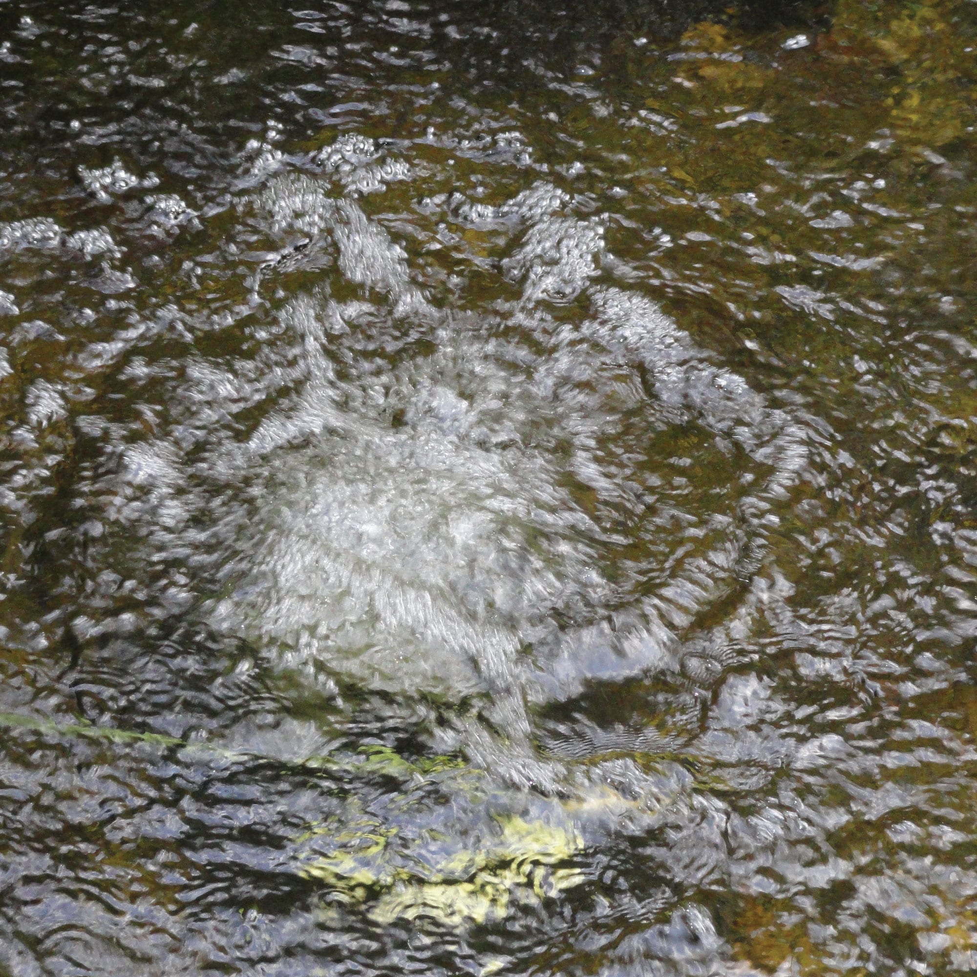Atlantic 73941 Pond-Accessories - View #2