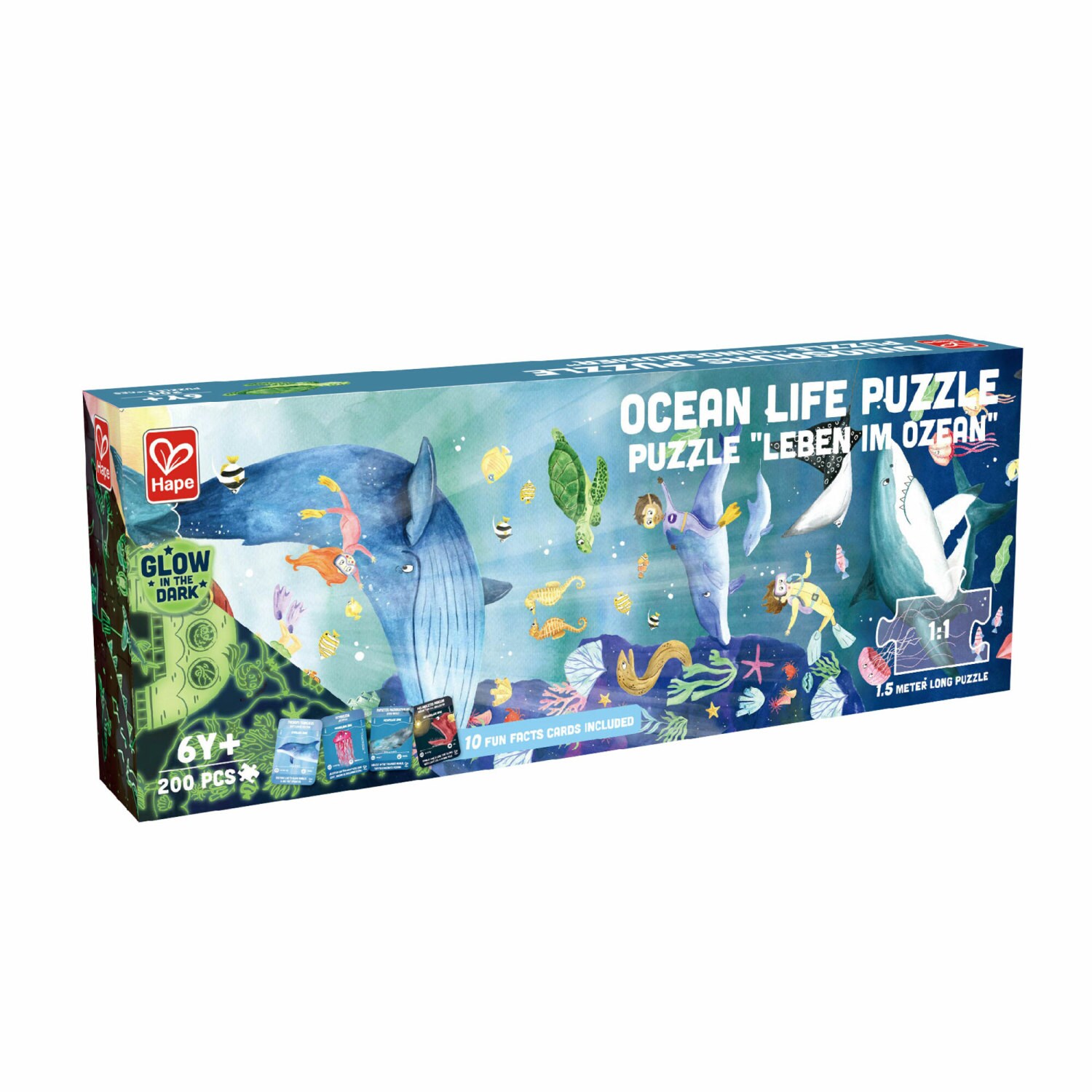 Hape G6943478035546 Preschool