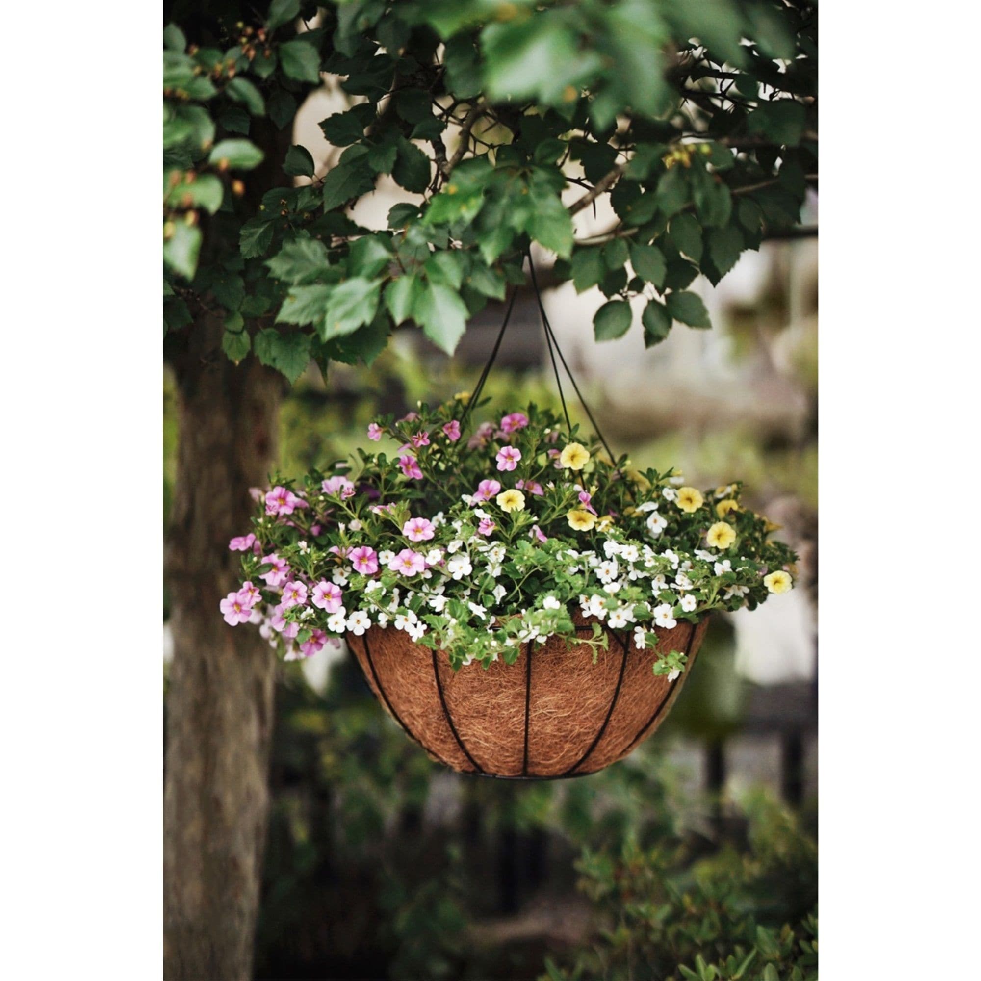 Pride Garden Products Grower Hanging Basket with AquaSav Smart