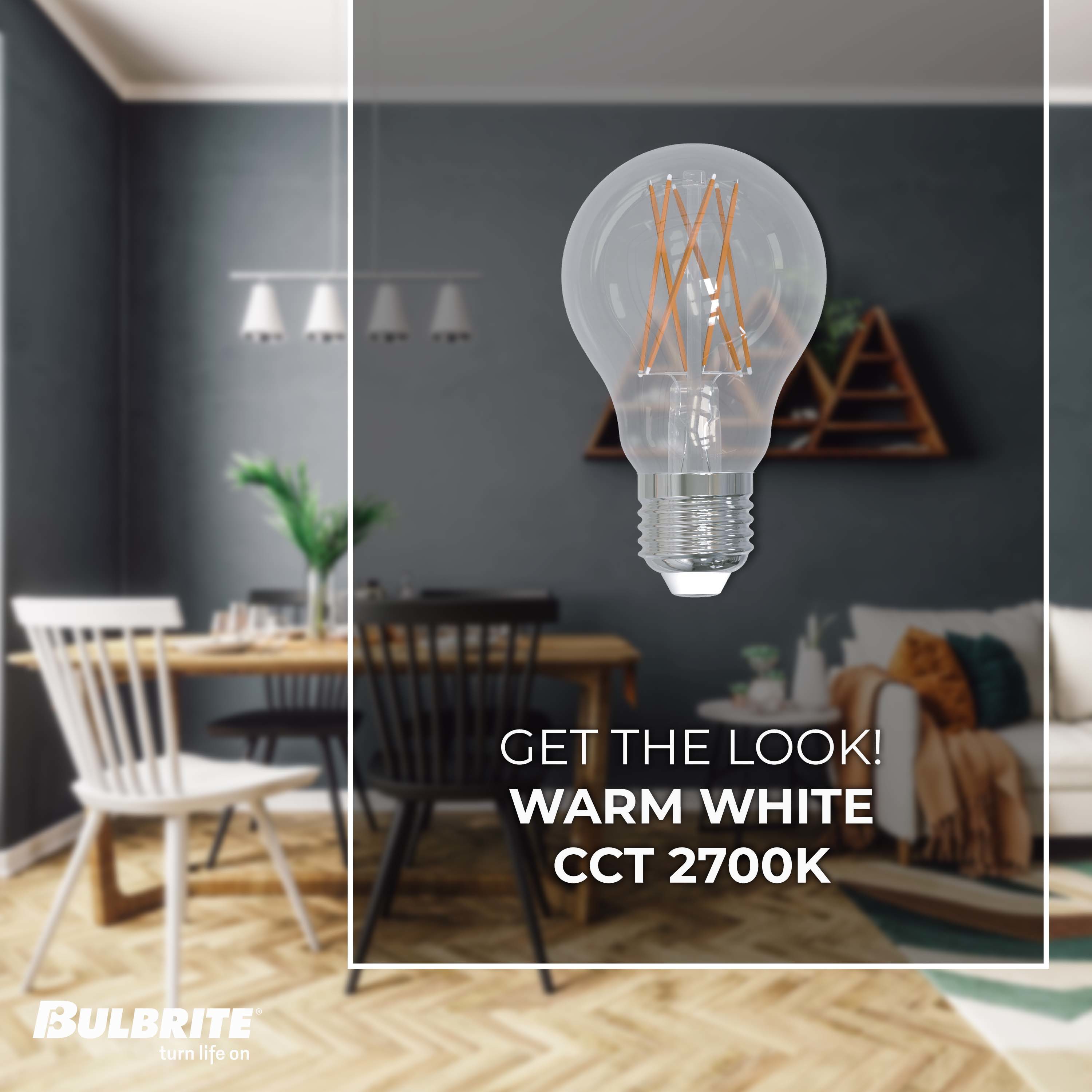 Bulbrite 861578 Dec-Led-Light-Bulbs - View #2