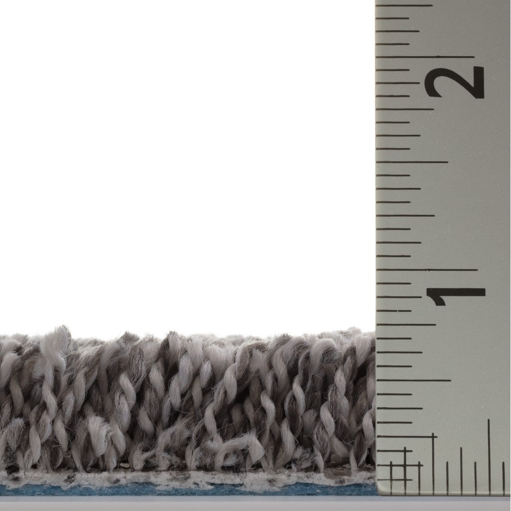 STAINMASTER PetProtect 7L967-535-SAMP Carpet-Samples - View #7