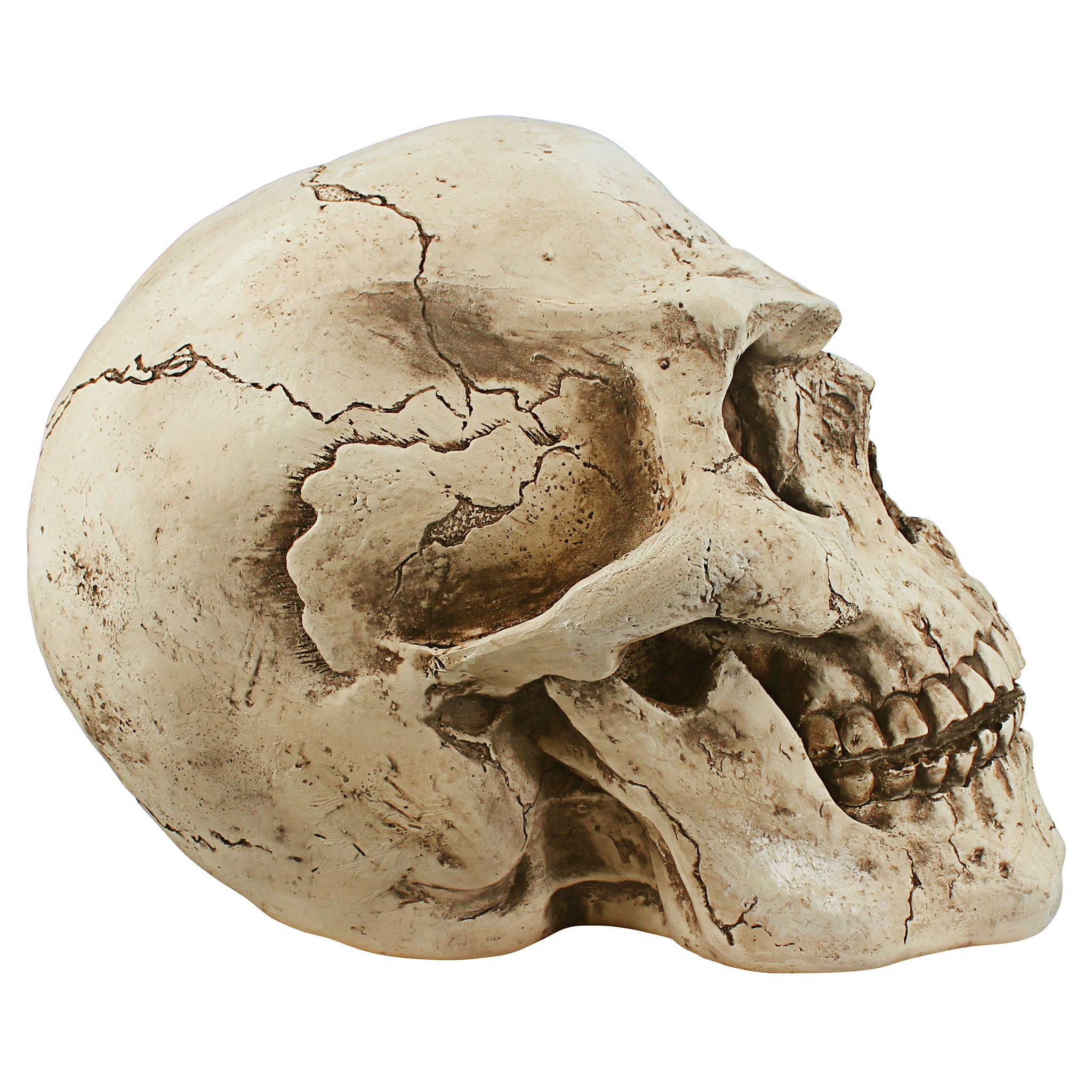 Giant Beige Resin Halloween Skeleton Skull Sculpture