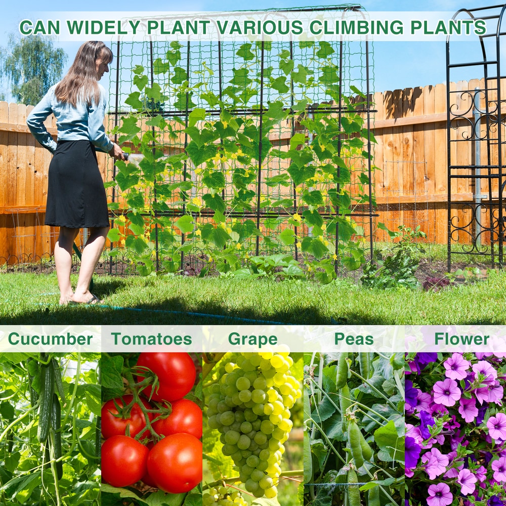 Esazn AMFH-QBXW-RD-M Garden-Trellis - View #5