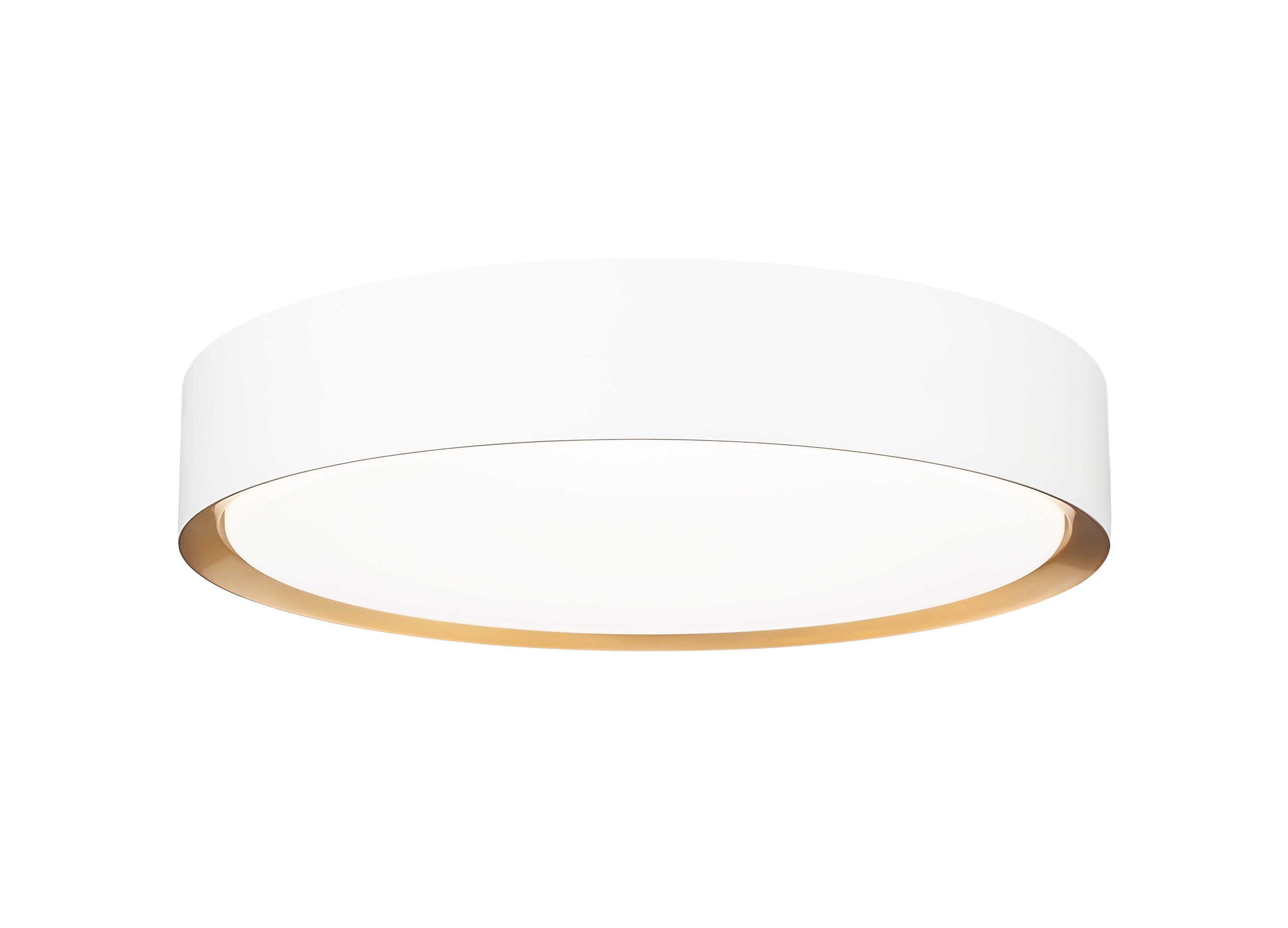 Z-Lite 1014F16-MW-MGLD-LED flushmounts - View #2