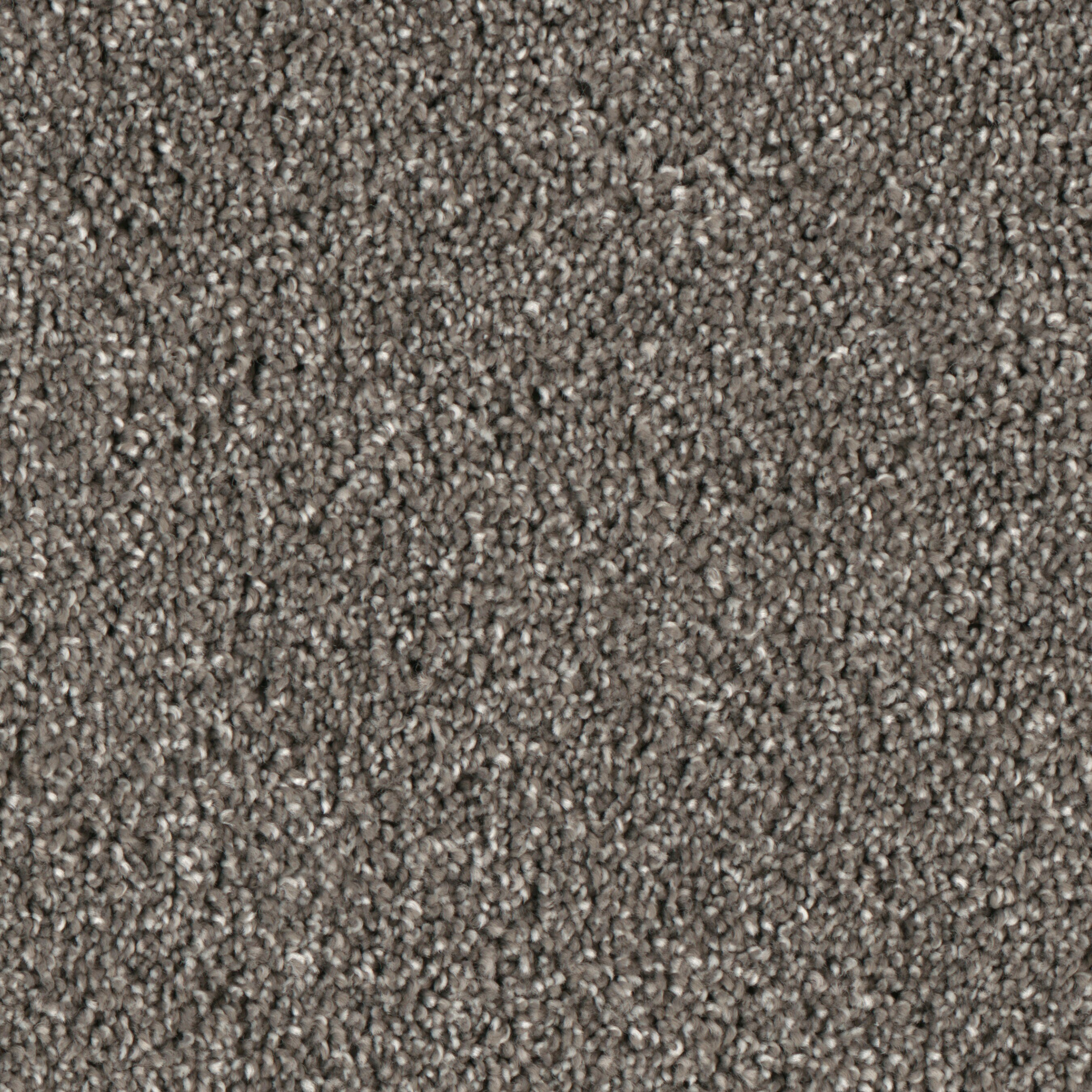 (Sample) Lenox Park Fountain Textured Indoor Carpet | - STAINMASTER S9255-956-S